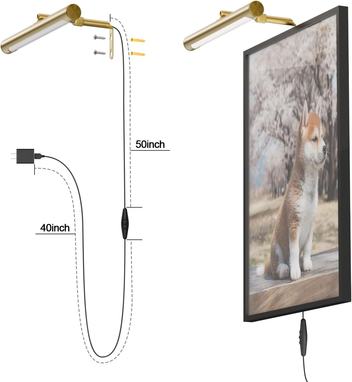 4W Picture Light Plug in, 12" Adjustable LED Art Light with Remote Control, Dimmable Wall Light for Picture Display Dartboard Art Work (Gold)