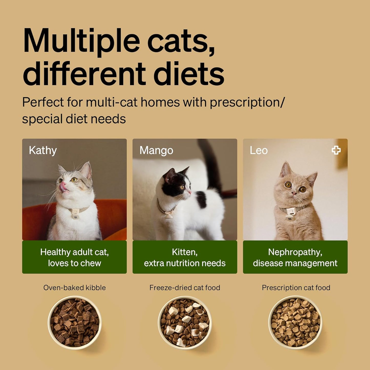 PETLIBRO RFID Automatic Cat Feeder, Collar Tag-Activated Personalized Meals, 5G&2.4G Wi-Fi Programmable Cat Food Dispenser with Cats Recognition & Diet Tracking for Multi-Pet Homes and Different Diets
