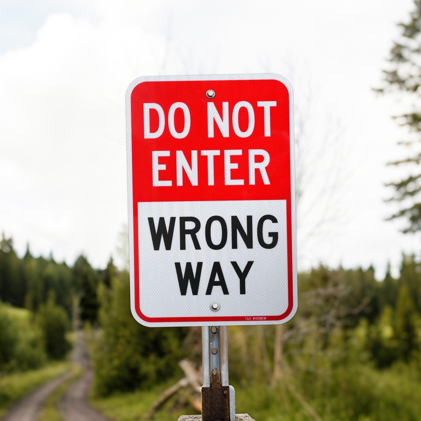 T&R (2 Pack) Do Not Enter Wrong Way Sign, 18" x 12" Engineer Grade Reflective Sheeting, Rust Free Aluminum, Weather Resistant, Waterproof, Fade Resistant, 2 Pre-drilled Holes