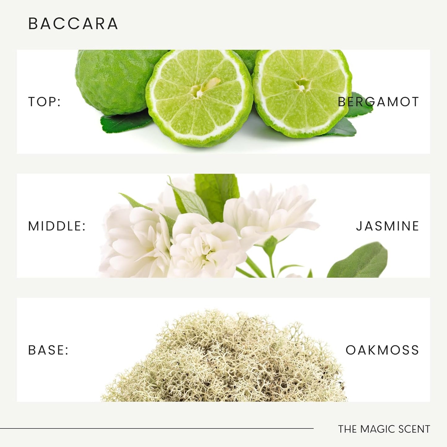 The Magic Scent Baccara Diffuser Oil - Hotel & Home Luxury Scents Inspired by Baccarat Rouge - Diffuser Oil Scents for Home Designed for Use in All Diffusers - 4 fl oz, 120 mL