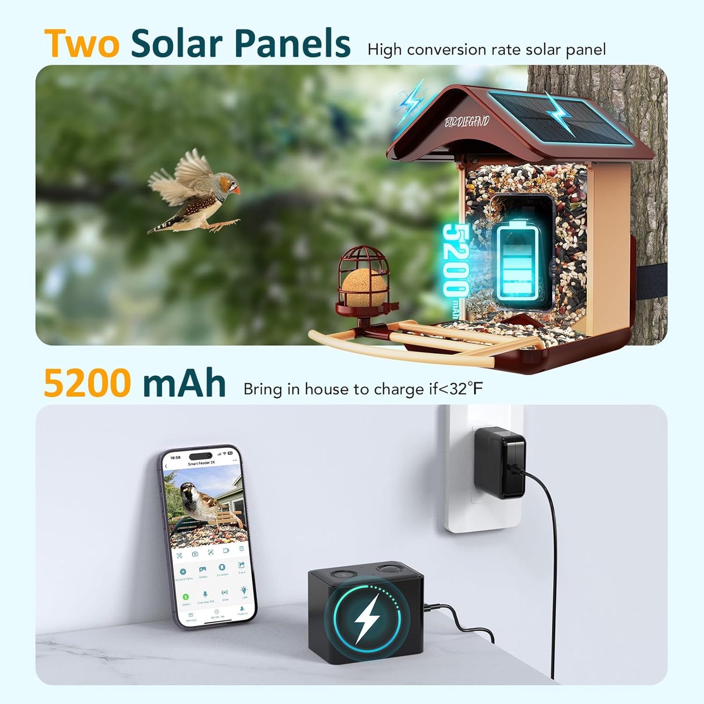 BIRDLEGEND® Bird Feeder with Camera Solar Powered, 2K Portrait Live Free AI Forever Instant Arrival Alerts with 64GB Card, Smart Camera Birds Feeders Wireless Outdoor Gift for Bird Lover, 2.4G WiFi