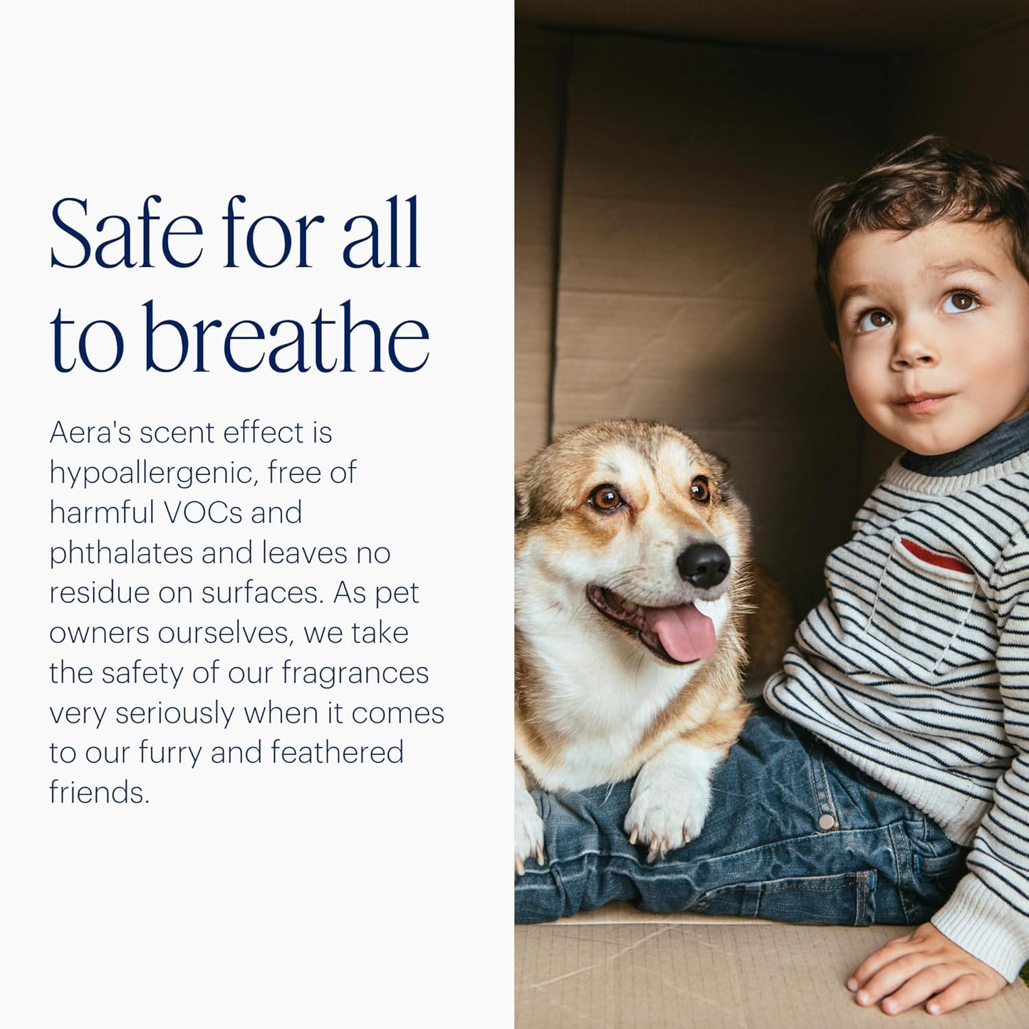 AERA Mini Home Fragrance Diffuser and Mini Citrus Scent Refill Bundle - for Rooms 100-500 Sq Ft - Alexa Compatible, Hypoallergenic, Family and Pet Safe, App Controlled