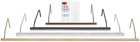 Situ Lighting: Plug-in Vision Series Remote Controlled LED Art and Picture Light - USA Made - Color Tuning 2700K - 4000K