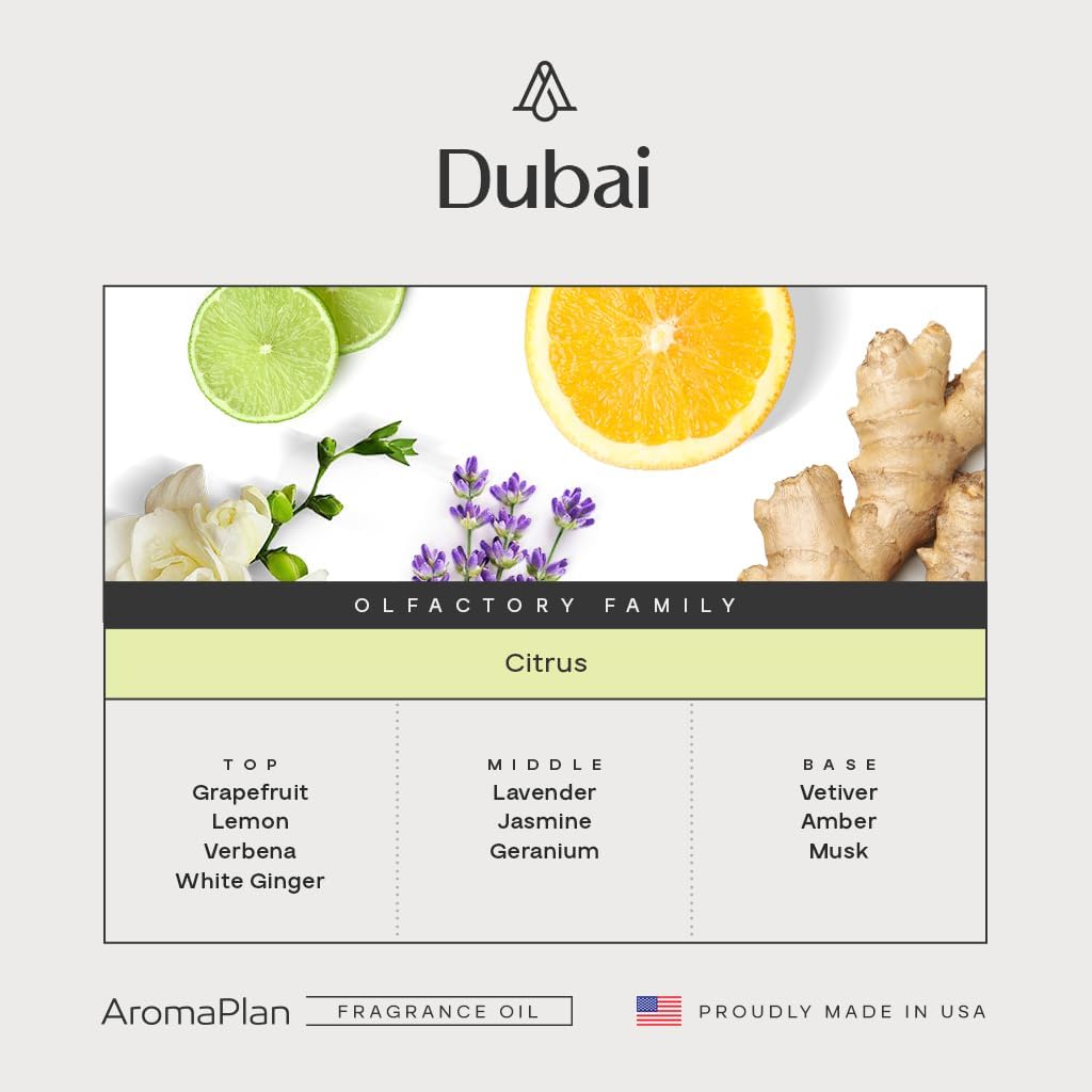 AromaPlan Hotel Scents Dubai 5 Fl Oz (148ml) & Sample Set with Top 12 Fragrances -Home Luxury Aroma & Hotel Fragrance Diffuser Oil for Aromatherapy, USA Made