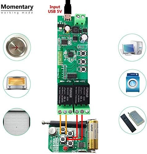 2-Channel WiFi Smart Switch Relay Module, TUYA/Smart Life App for Smart Home Remote Control, Momentary Time Adjustable, Compatible with Alexa/Google Assistant