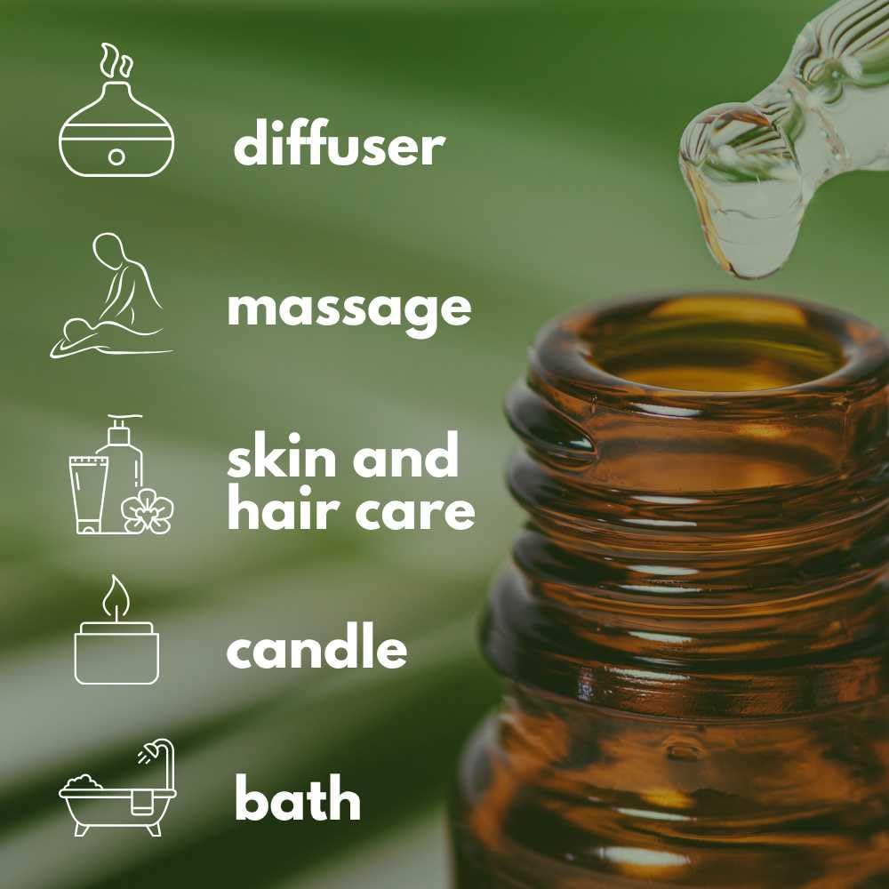Dual Eucalyptus Essential Oil Blends by One Arome – Eucalyptus Oil (Corymbia Citriodora - Lemon & Eucalyptus Globulus) | Oil for Diffusers, Massage (Dilute) & DIY (Pack of 4 × 0.34 fl oz Each)