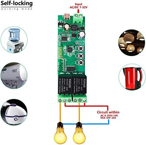 2-Channel WiFi Smart Switch Relay Module, TUYA/Smart Life App for Smart Home Remote Control, Momentary Time Adjustable, Compatible with Alexa/Google Assistant