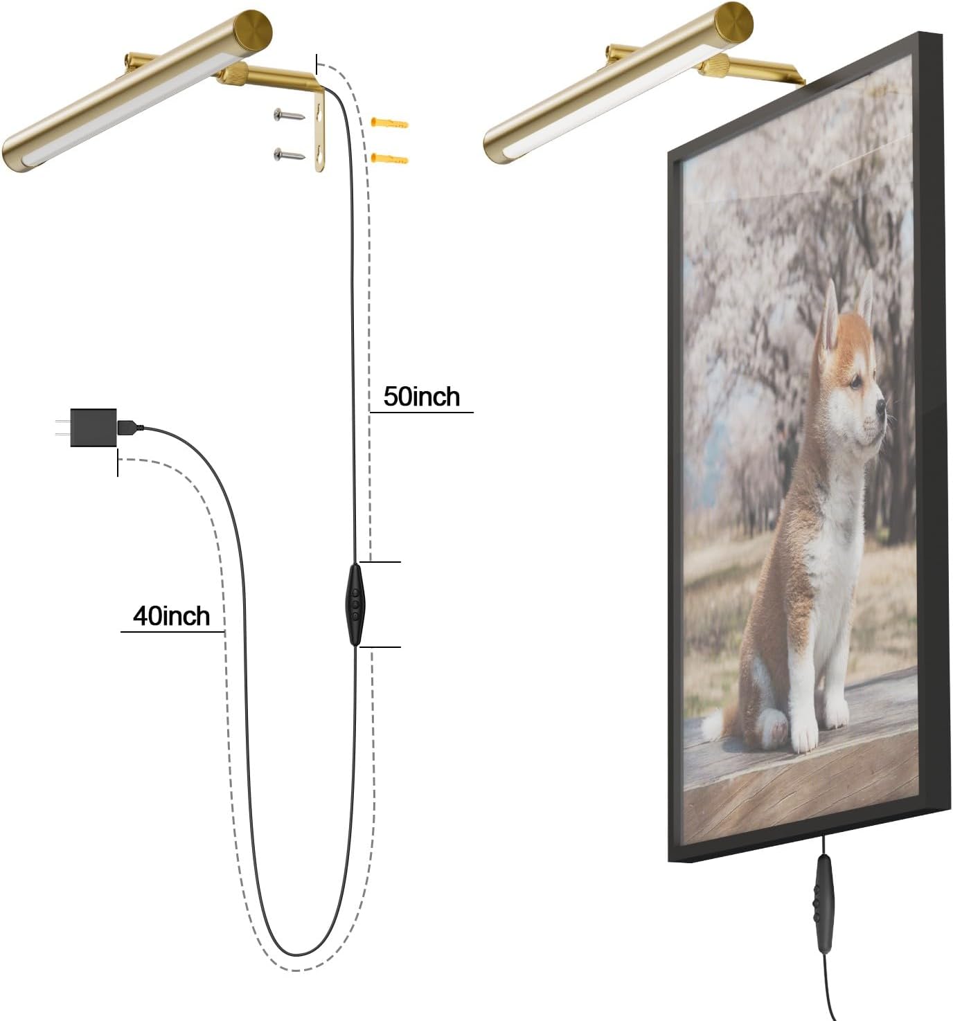 Picture Lights for Paintings Plug in, 16" Adjustable LED Gold Picture Light Art Light, Remote Control Gallery Painting Wall Light for Picture Display Dartboard Art Work (Gold)