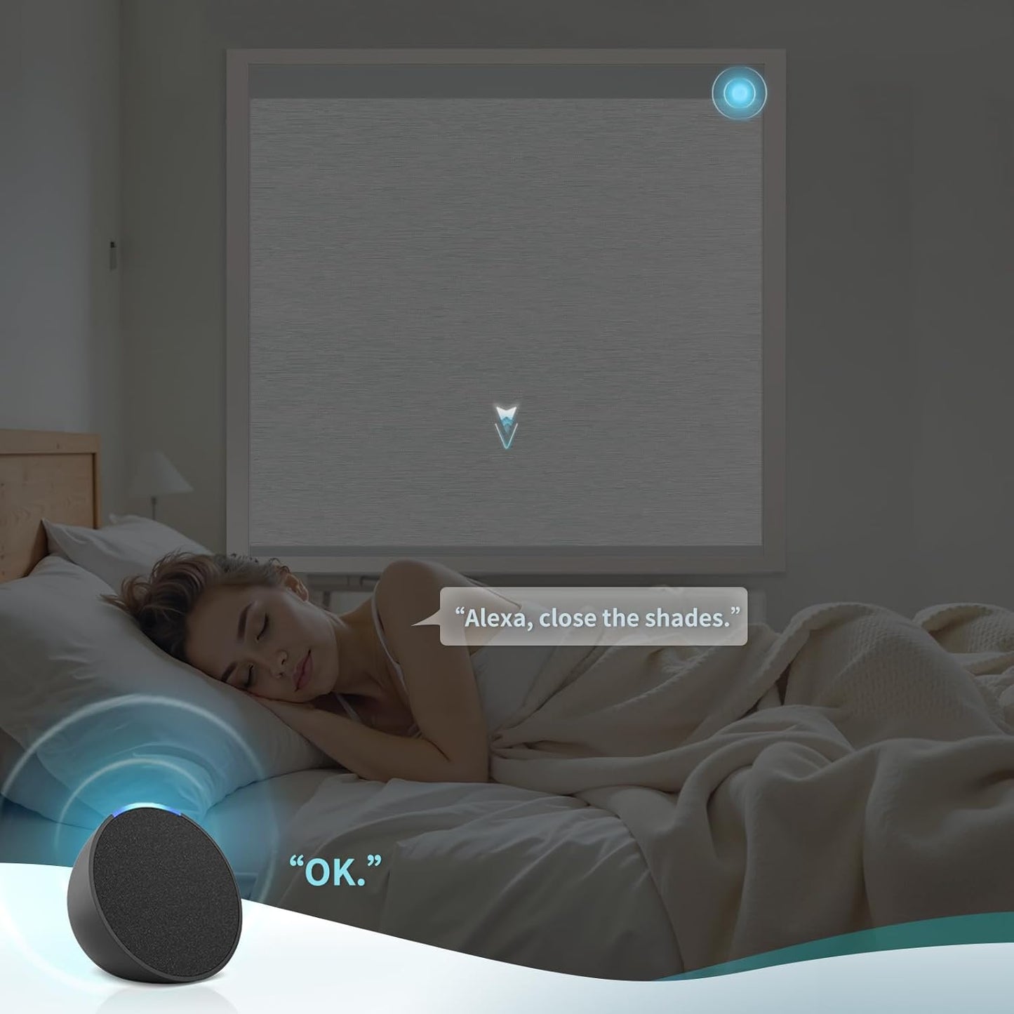 Motorized Blinds with Remote Custom Size Blackout Smart Roller Shades Compatible with Alexa Google, Electric Blinds for Windows