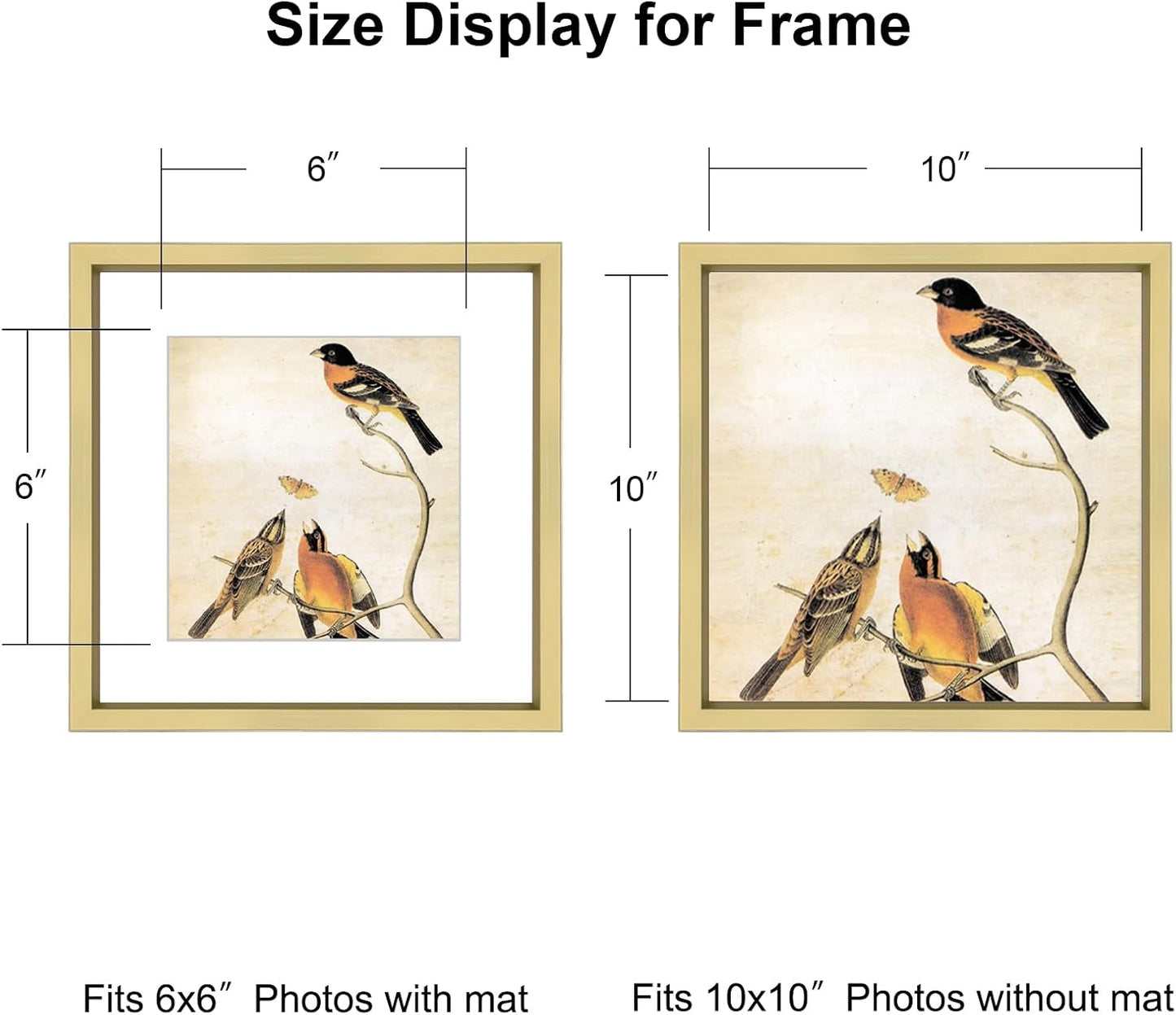 10x10 Picture Frame, Brass Metal Square Photo Frames with HD Glass, Fits 6x6 with Mat or 10 x 10 without Mat, Display for Wall and Table, 1 Pack