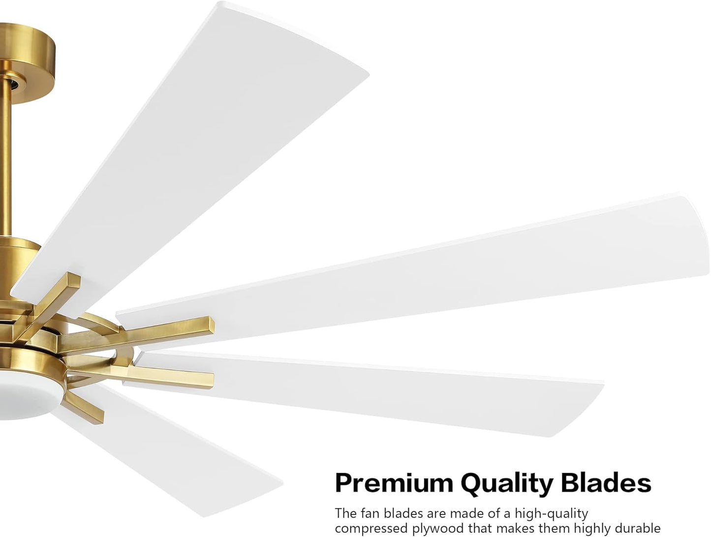WINGBO 60" DC Ceiling Fan with Lights and Remote Control, Gold and White Ceiling Fan, 8 Plywood Blades, 6-Speed Reversible DC Motor, Modern Ceiling Fans Indoor for Kitchen Bedroom Living Room