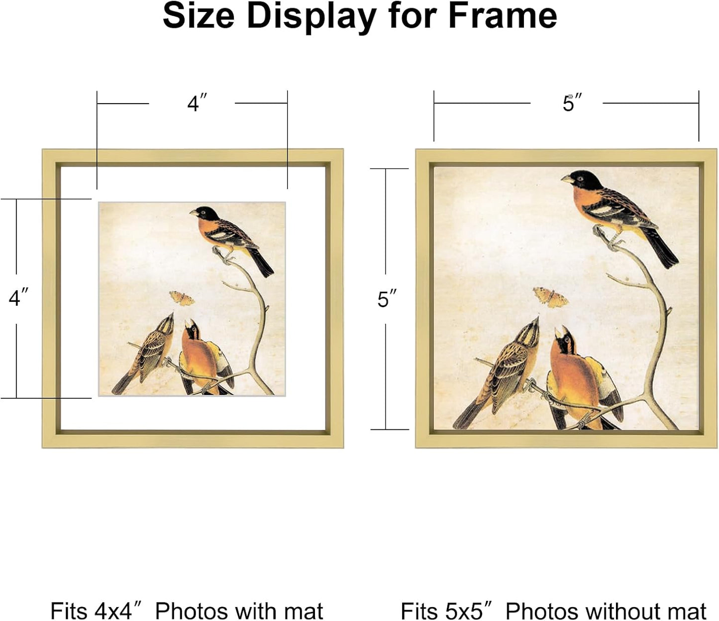 5x5 Picture Frame, Brass Metal Photo Frames with HD Glass, Fits 4x4 with Mat or 5 x 5 without Mat, Display for Wall and Table, 1 Pack