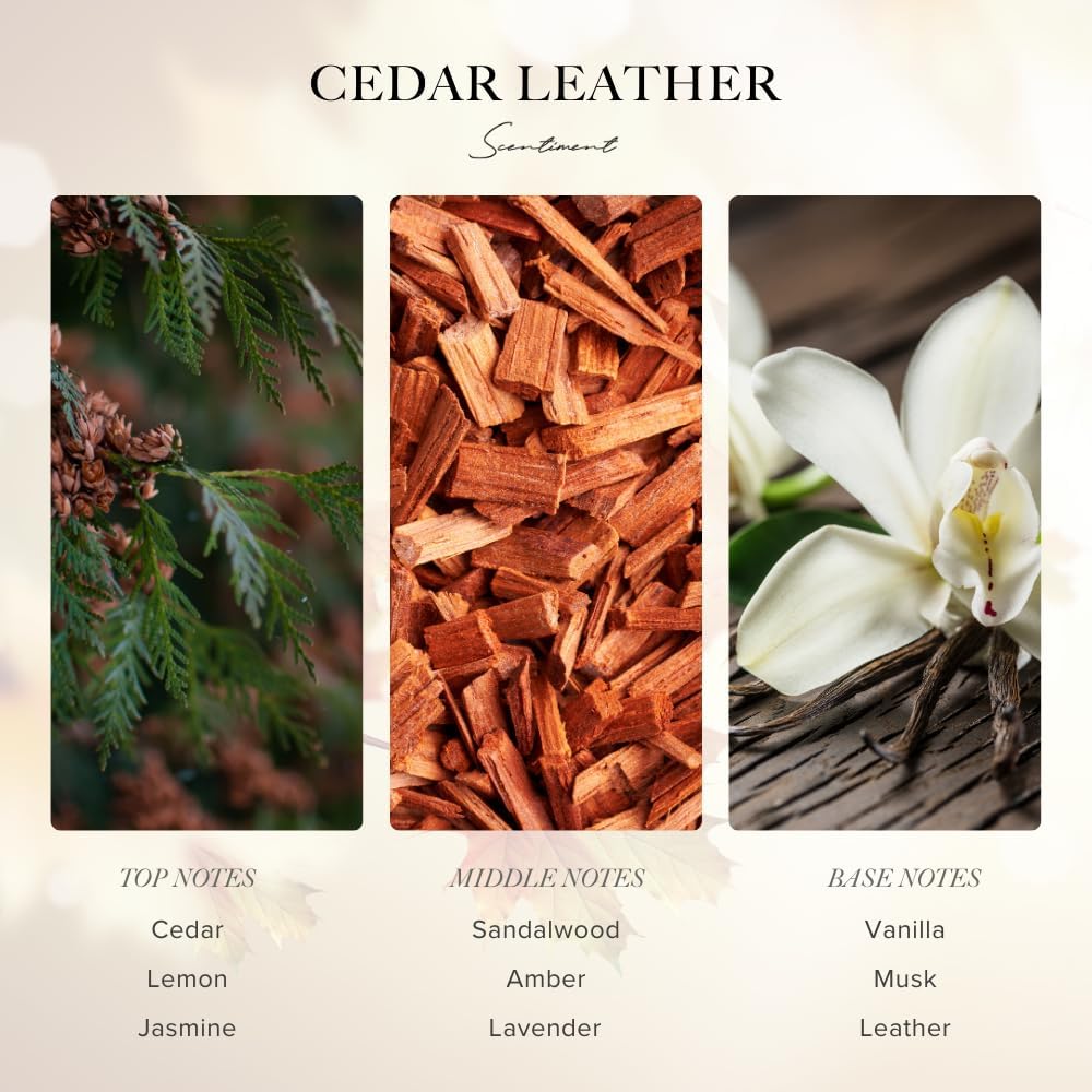 Scentiment Diffuser Oil - Cedar Leather Fall Collection | Aromatherapy Home Fragrance | Luxurious Scent with Lemon, Jasmine Sandalwood, Amber, Lavender, Vanilla, & Musk (500ml)