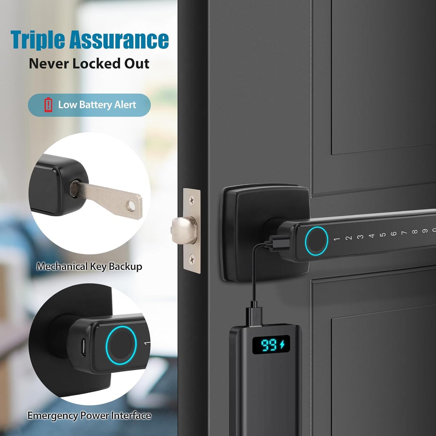 Bamberg N1 Smart Door Knob,4-in-1 Keyless Entry with Fingerprint, Tuya APP, Keypad Code & Key | Biometric Fingerprint Lock for Privacy on Bedroom, Apartment, Office and Indoor Doors