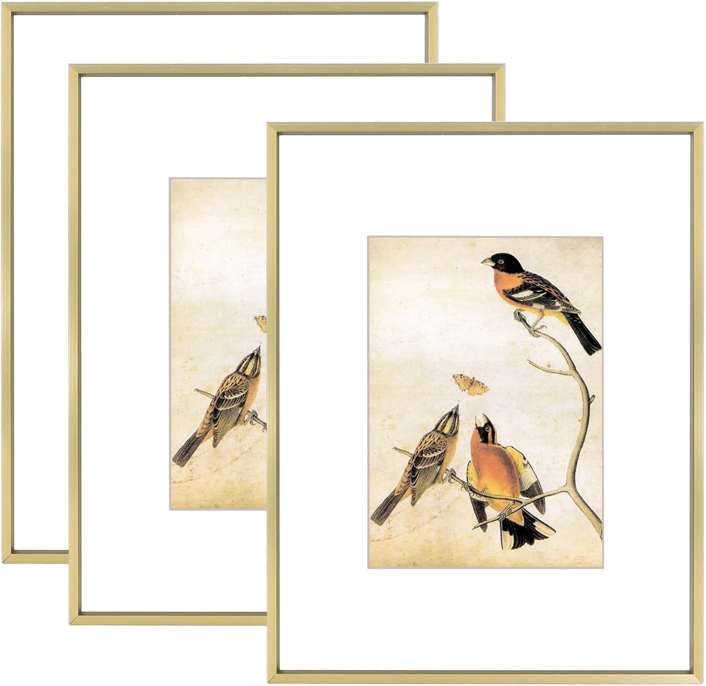 8.5x11 Picture Frame Set of 3, Brass Metal Photo Frames with HD Glass, Fits 5x7 with Mat or 8.5x11 without Mat, Wall Hanging and Table Display