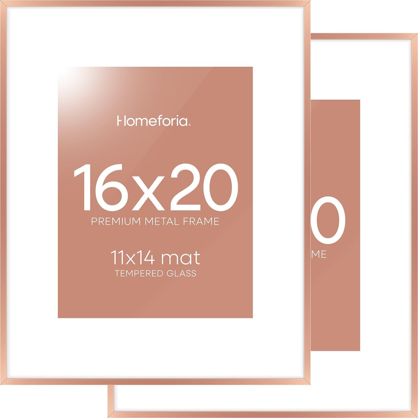 Homeforia Picture Frames 16x20 Rose Gold, High End Metal 16x20 Poster Frame with Mat 11x14 inch Photo, 16 x 20 Rose Gold Frame Matted to 11 by 14 Print, 20x16 Frame, Tempered Glass, Wall Kit, Set of 2