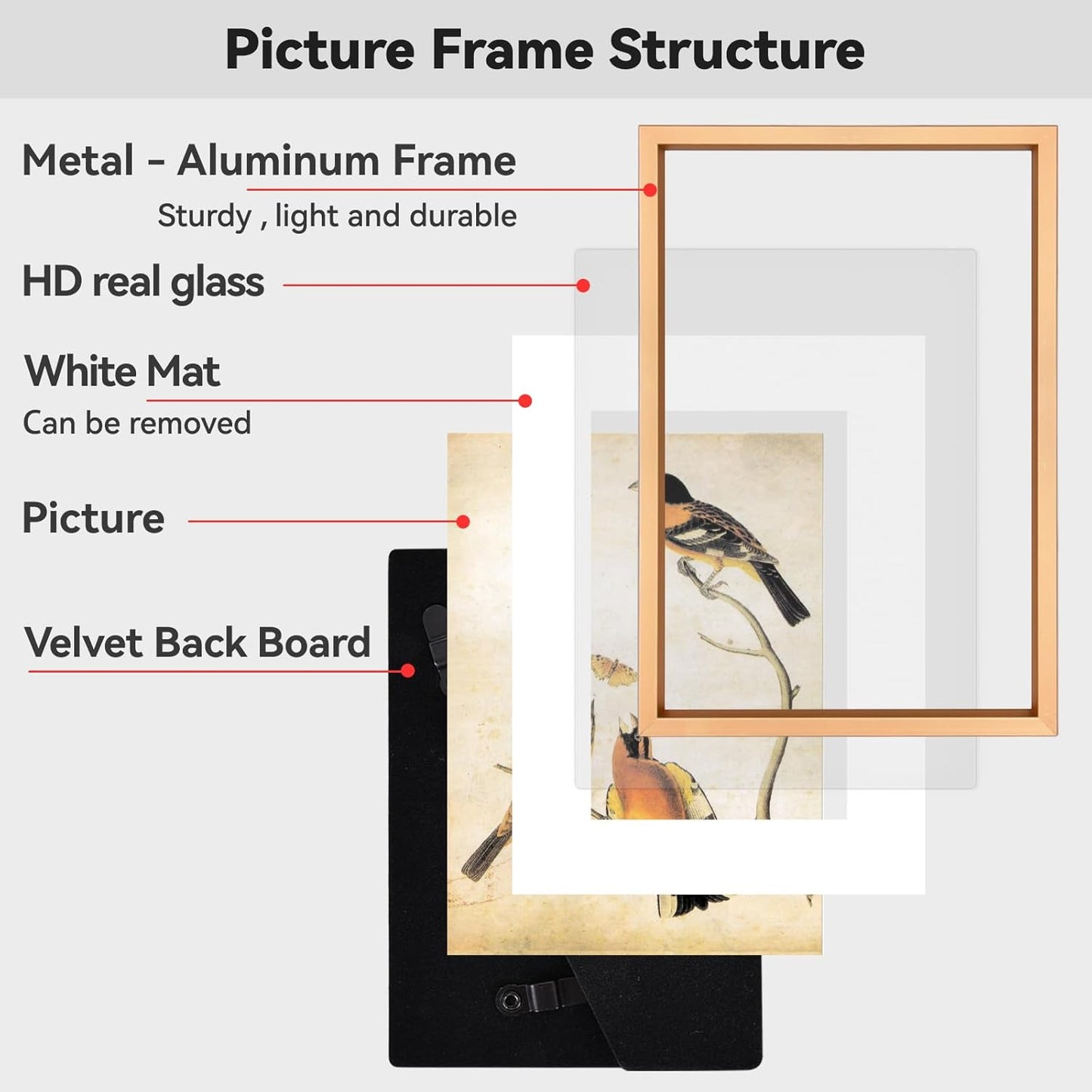 10x12 Picture Frame, Gold Aluminum Metal Photo Frames with HD Glass, Fits 8x10 with Mat or 10 x 12 without Mat, Display for Wall, 1 Pack