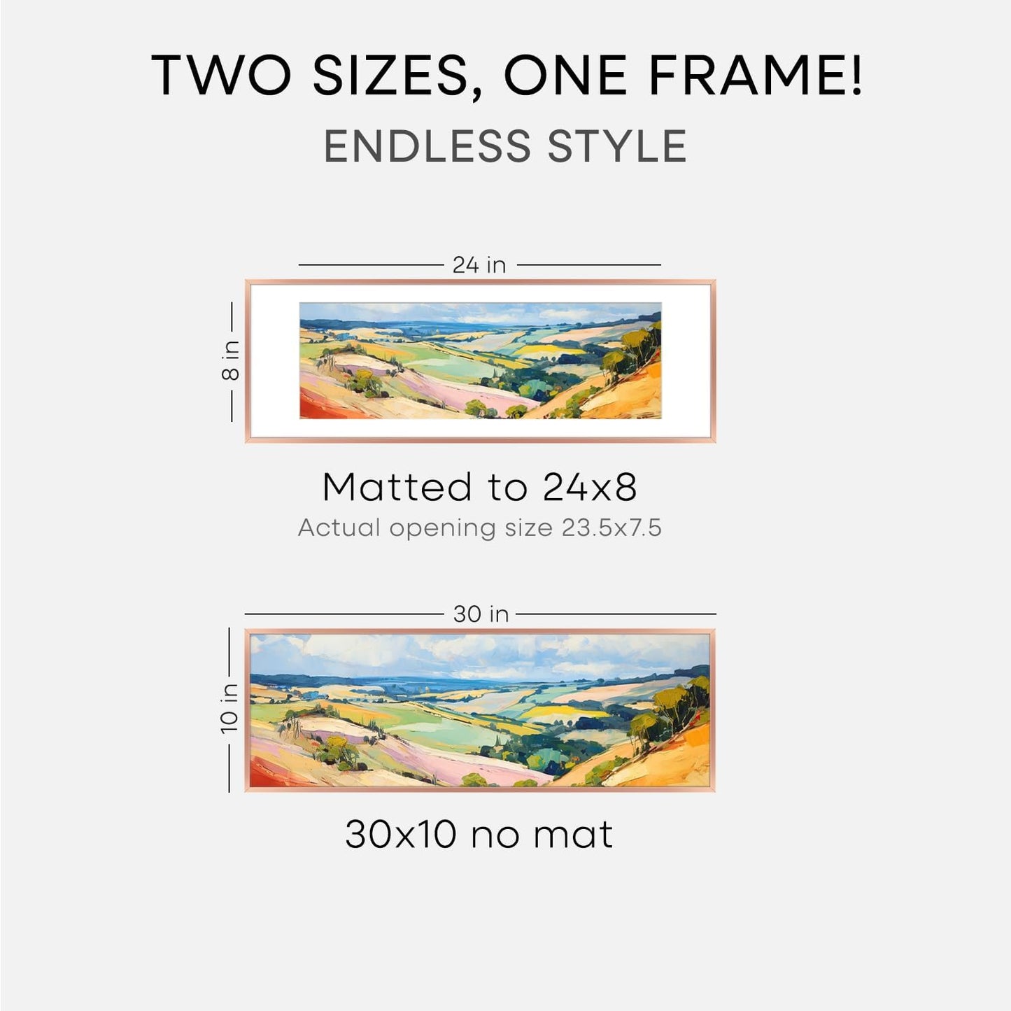 Homeforia 10x30 Rose Gold Picture Frame, High End Metal 10by30 Poster Frames with Mat 8x24 Photo, 10 x 30 Rose Frames Matted to 8 x 24 Print, 30x10 Panoramic Frames, Tempered Glass, Wall Kit, Set of 1