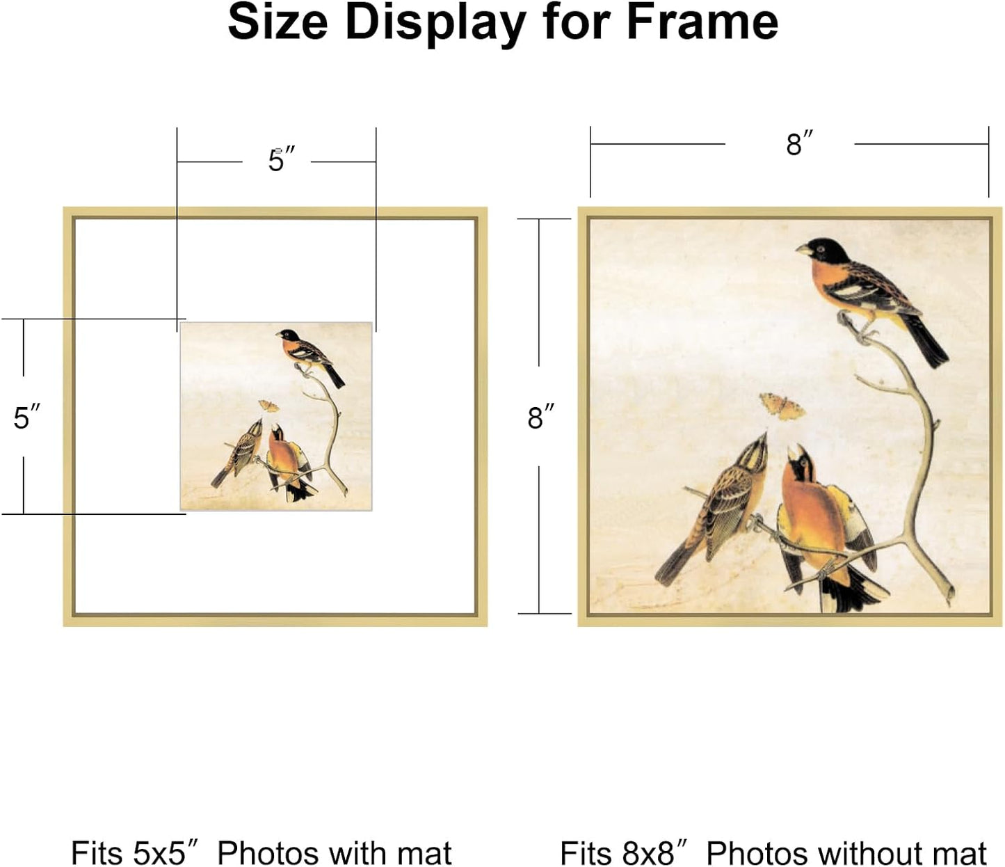 8x8 Picture Frame, Brass Metal Square Photo Frames with HD Glass, Fits 5x5 with Mat or 8 x 8 without Mat, Display for Wall and Table, 1 Pack