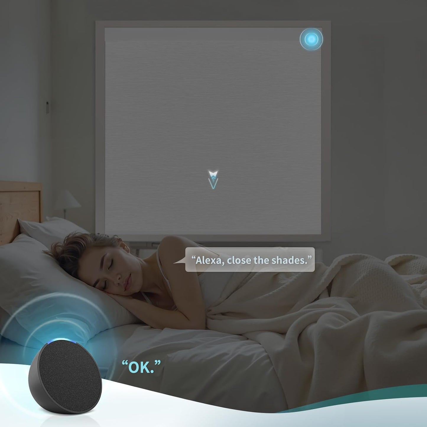 Motorized Blinds with Remote Custom Size Blackout Smart Roller Shades Compatible with Alexa Google, Electric Blinds for Windows