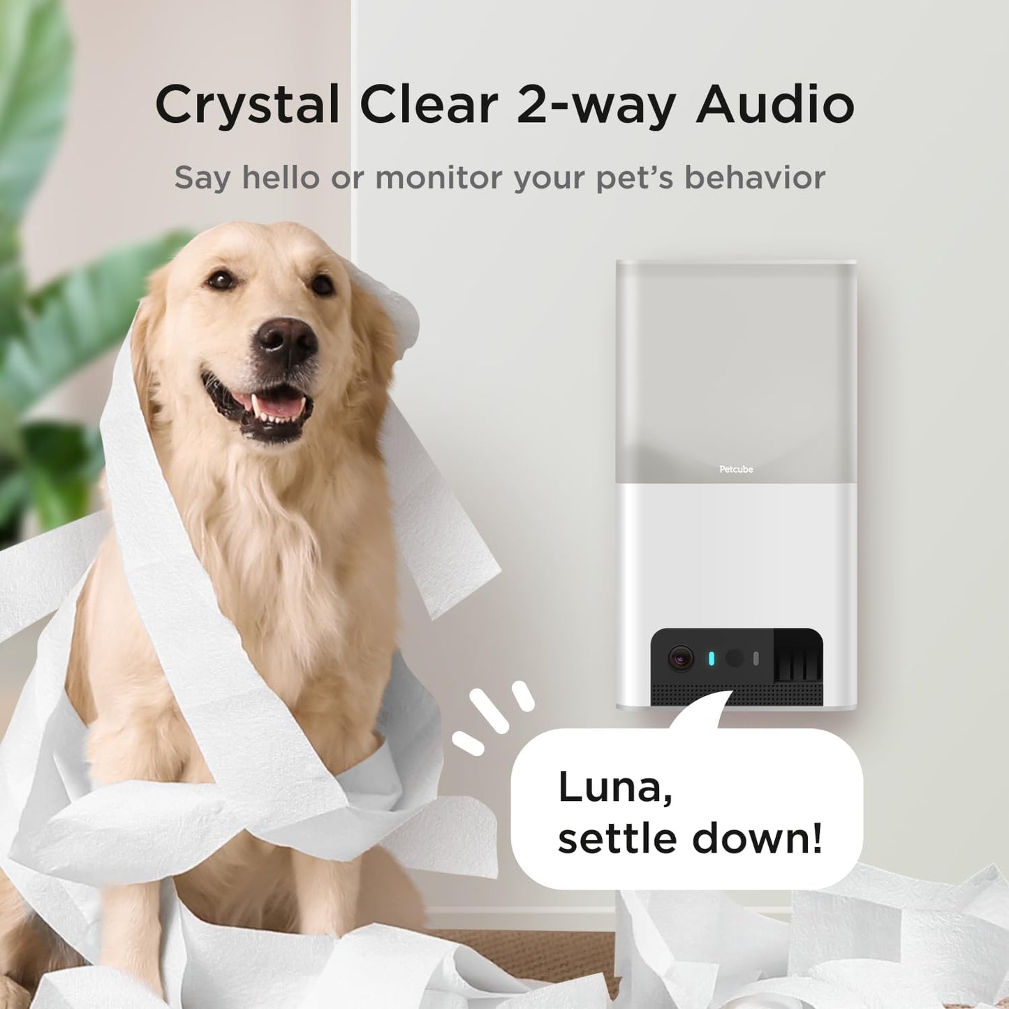 Petcube Bites 2 Lite Interactive WiFi Pet Monitoring Camera with Phone App and Treat Dispenser, 1080p HD Video, Night Vision, Two-Way Audio, Sound and Motion Alerts, Cat and Dog Monitor