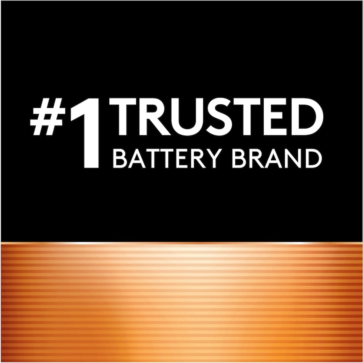 Duracell Coppertop AAA Batteries with Power Boost Ingredients, 8 Count Pack Triple A Battery with Long-lasting Power, Alkaline AAA Battery for Household and Office Devices