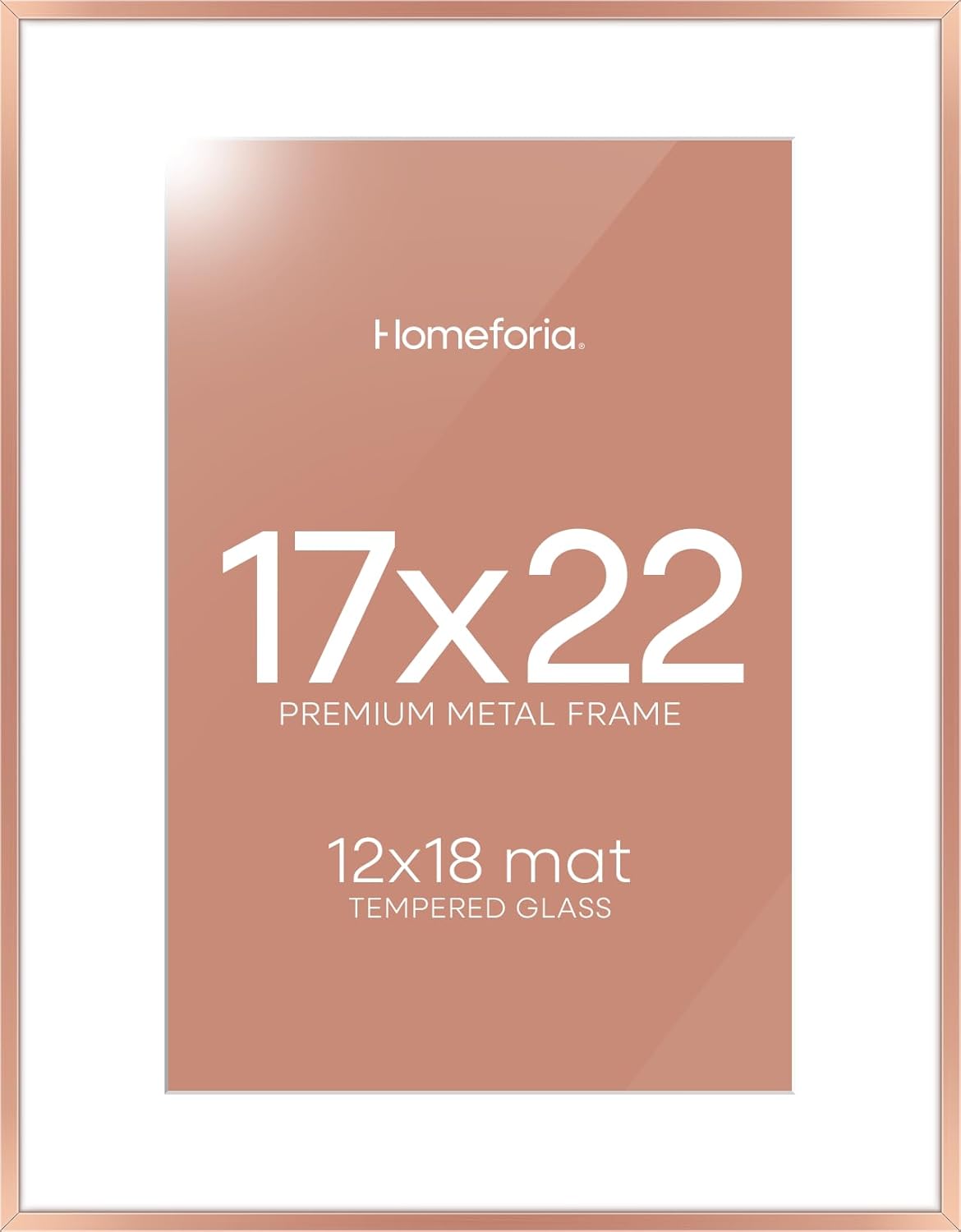 Homeforia 17x22 Picture Frame Silver, High End Metal 17x22 Frames with Mat 12x18 for Photo, 17 x 22 Silver Poster Frame Matted to 12 x 18 Print, 22x17 Hanging Frame, Tempered Glass, Wall Kit, Set of 1