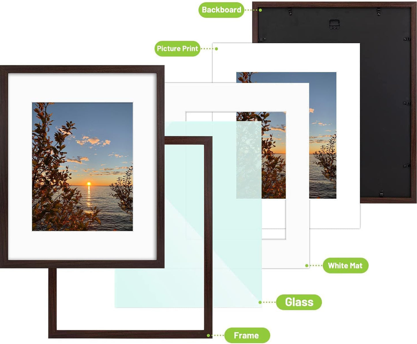 Golden State Art, 16x20 Picture Frames with Mat for 11x14 or 16x20 Picture Collage Gallery Wall Frame with Real Glass, Brown, 2 Pack