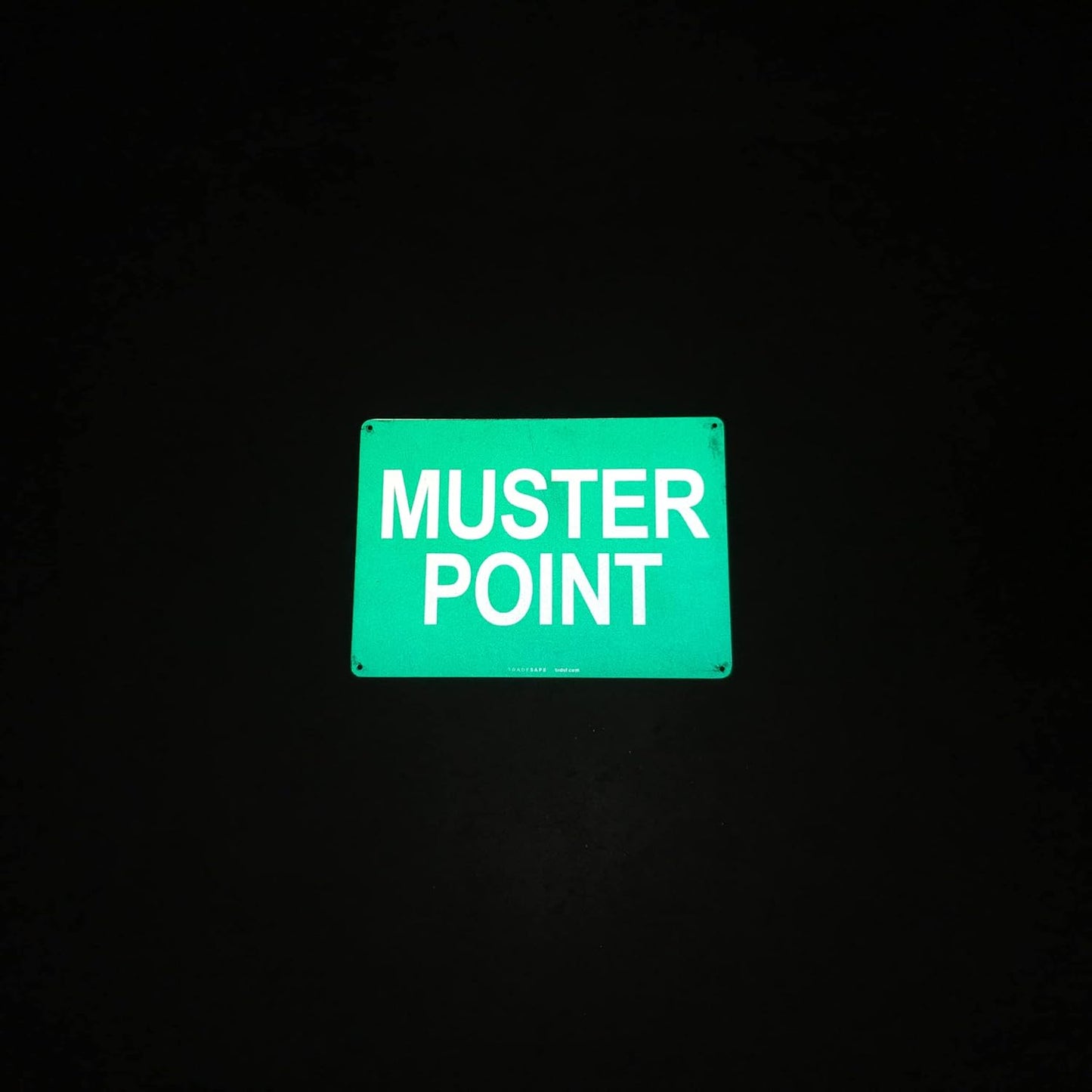 TRADESAFE Muster Point Sign - Quick Install Aluminum Safety Sign, Light Reflective, UV-Resistant, Waterproof, 14” X 10” Emergency Evacuation Area Signs for Business