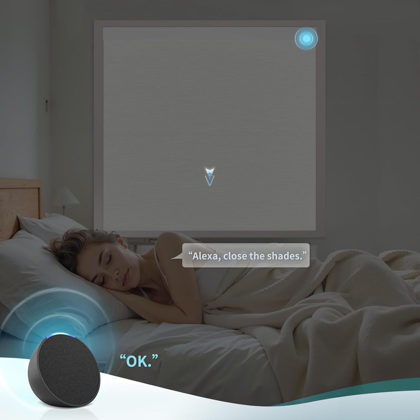 Motorized Blinds with Remote Custom Size Blackout Smart Roller Shades Compatible with Alexa Google, Electric Blinds for Windows