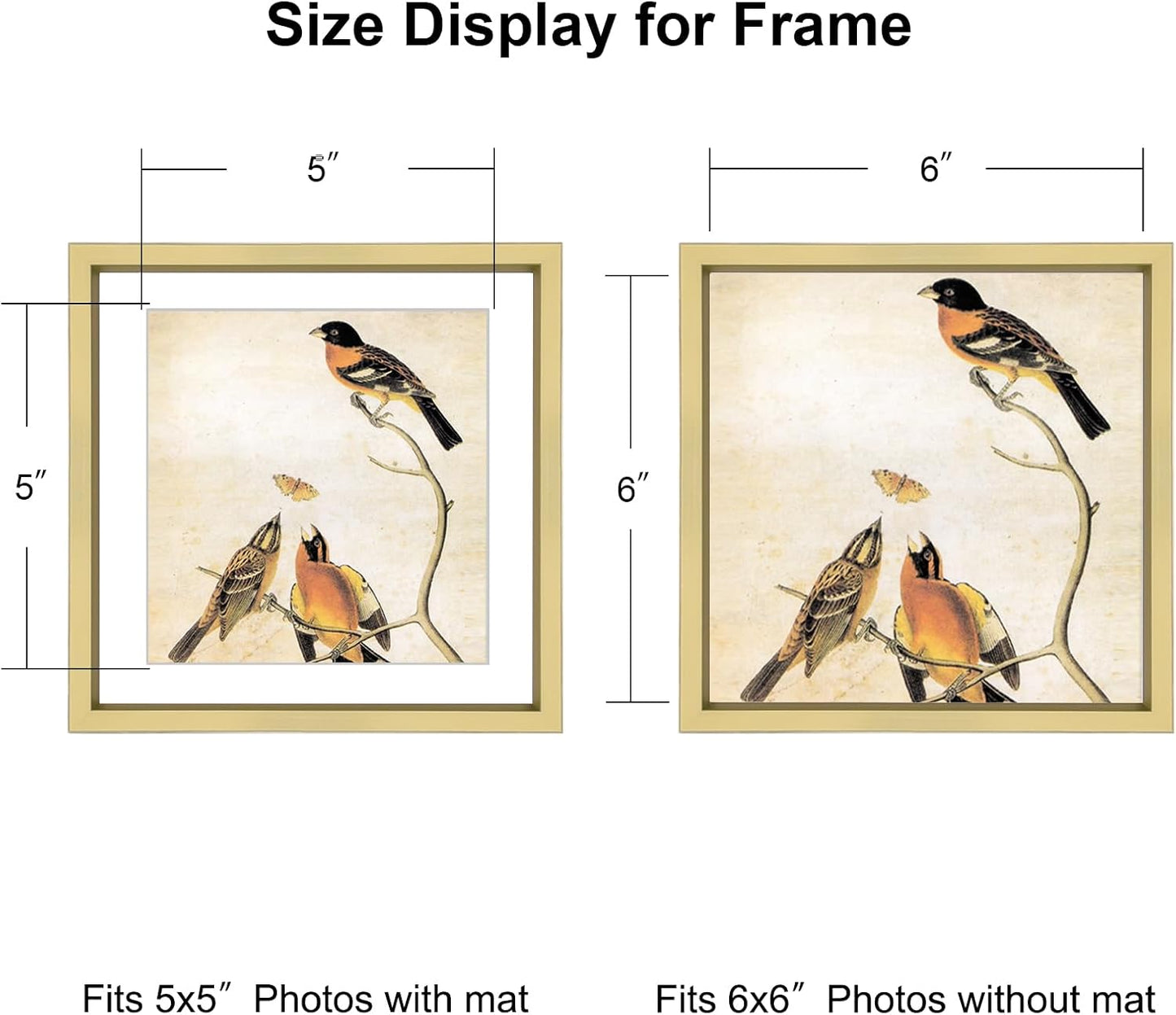 6x6 Picture Frame, Brass Metal Photo Frames with HD Glass, Fits 5x5 with Mat or 6 x 6 without Mat, Display for Wall and Table, 1 Pack