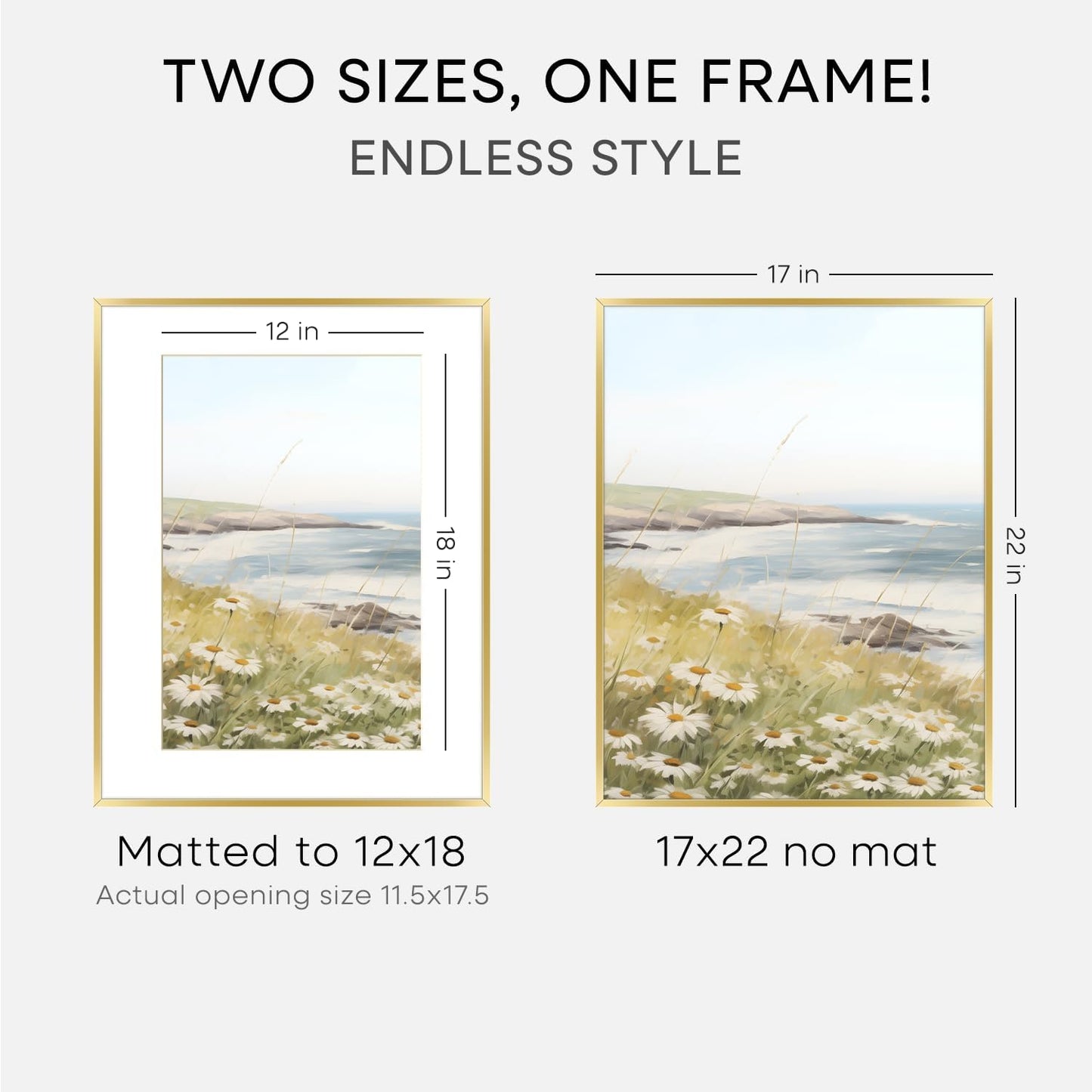 Homeforia 17x22 Picture Frame Gold, High End Metal 17x22 Poster Frames with Mat 12x18 Photo, 17 x 22 Gold Frame Matted to 12 by 18 Print, 22by17 Thin Hanging Frames, Tempered Glass, Wall Kit, Set of 1