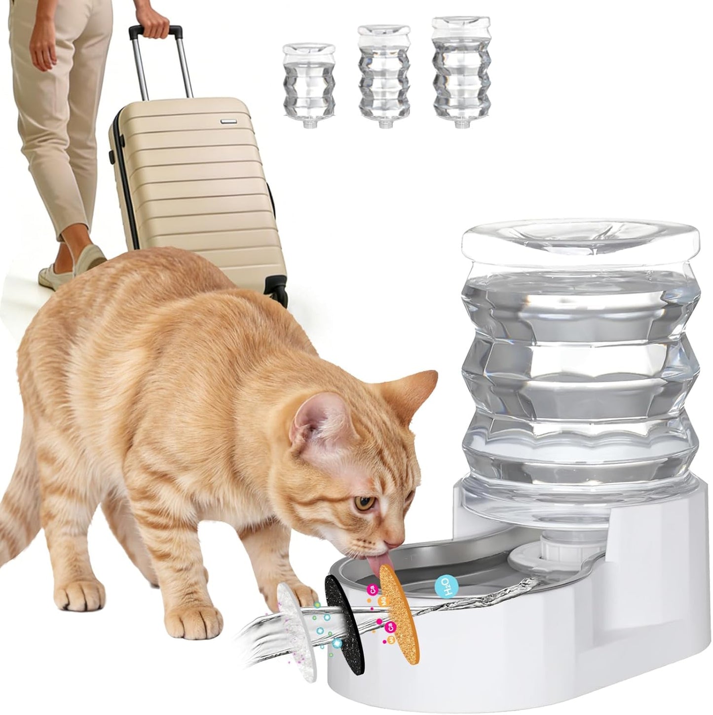 RIZZARI Dog Water Bowl Dispenser: 5L Large Automatic Stainless Steel Gravity Feeder with Specialized Brush and Triple Filter - for Cats with Joint Spine Pain - for Kitchen Bedroom