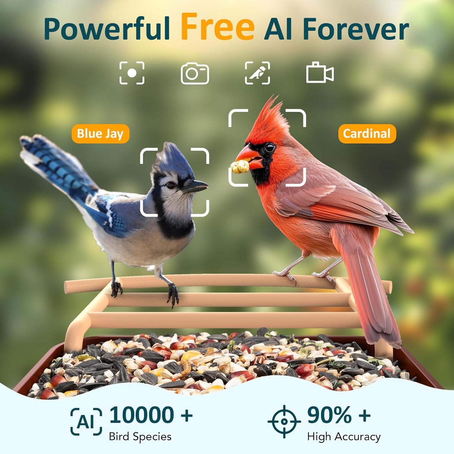 BIRDLEGEND® BL01 Bird Feeder with Camera Solar Powered, Free AI Smart Camera Bird Feeder with 64GB Card DIY Add-ons 1080P Live Auto Capture Videos Pictures, Gifts for Birdlover Mom Dad, 2.4GHz WiFi