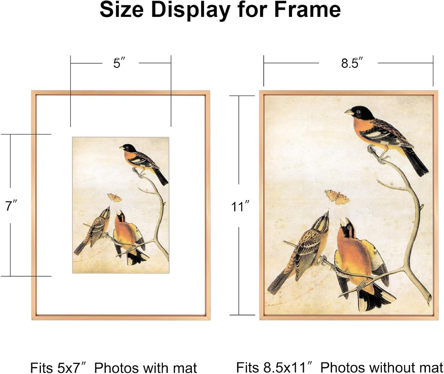 8.5x11 Picture Frame, Gold Metal Photo Frames with HD Glass, Fits 5x7 with Mat or 8.5 x 11 without Mat, Display for Wall and Table, 1 Pack