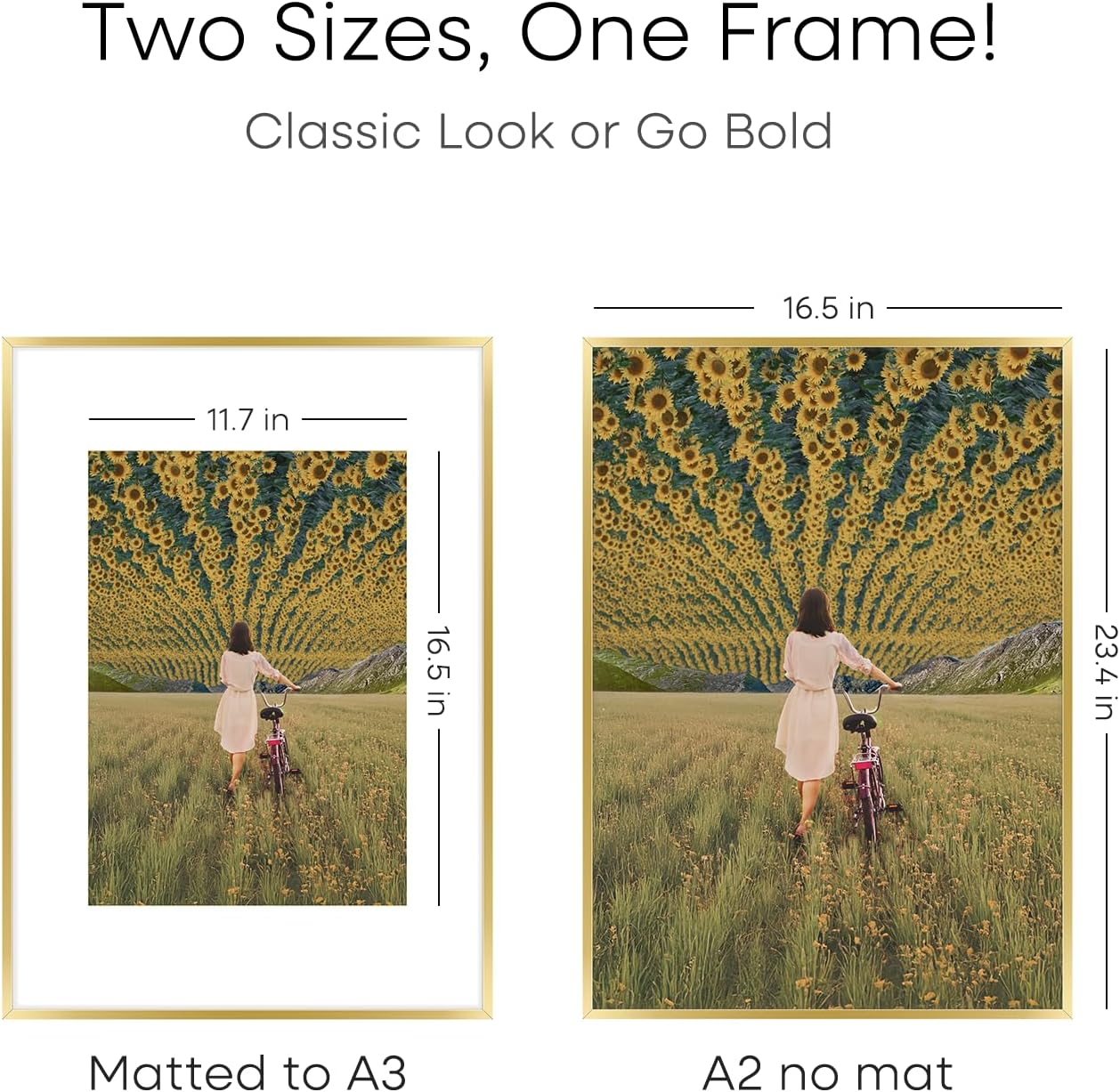 Homeoforia A2 Picture Frame Gold, High End Metal 16.5 x 23.5 inches Poster Frames with Mat 11.7 x 16.5 for Photo, A2 Size Frame Matted to A3 Print, 16.5 by 23.4 Hanging Frame, Tempered Glass, Set of 2