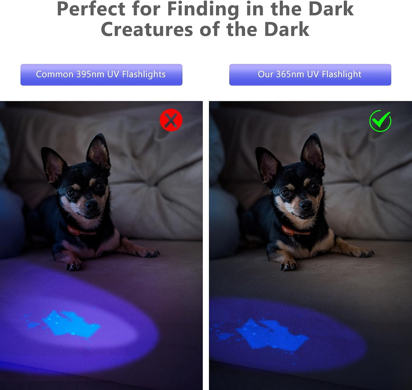 XLENTGEN 365nm High Power Black Mirror UV Light Detection Flashlight, UV Blacklight Light USB Rechargeable, Pet Urine Detector, Resin Curing, Blood Tracking, Appraisal, Fluorescent Detection