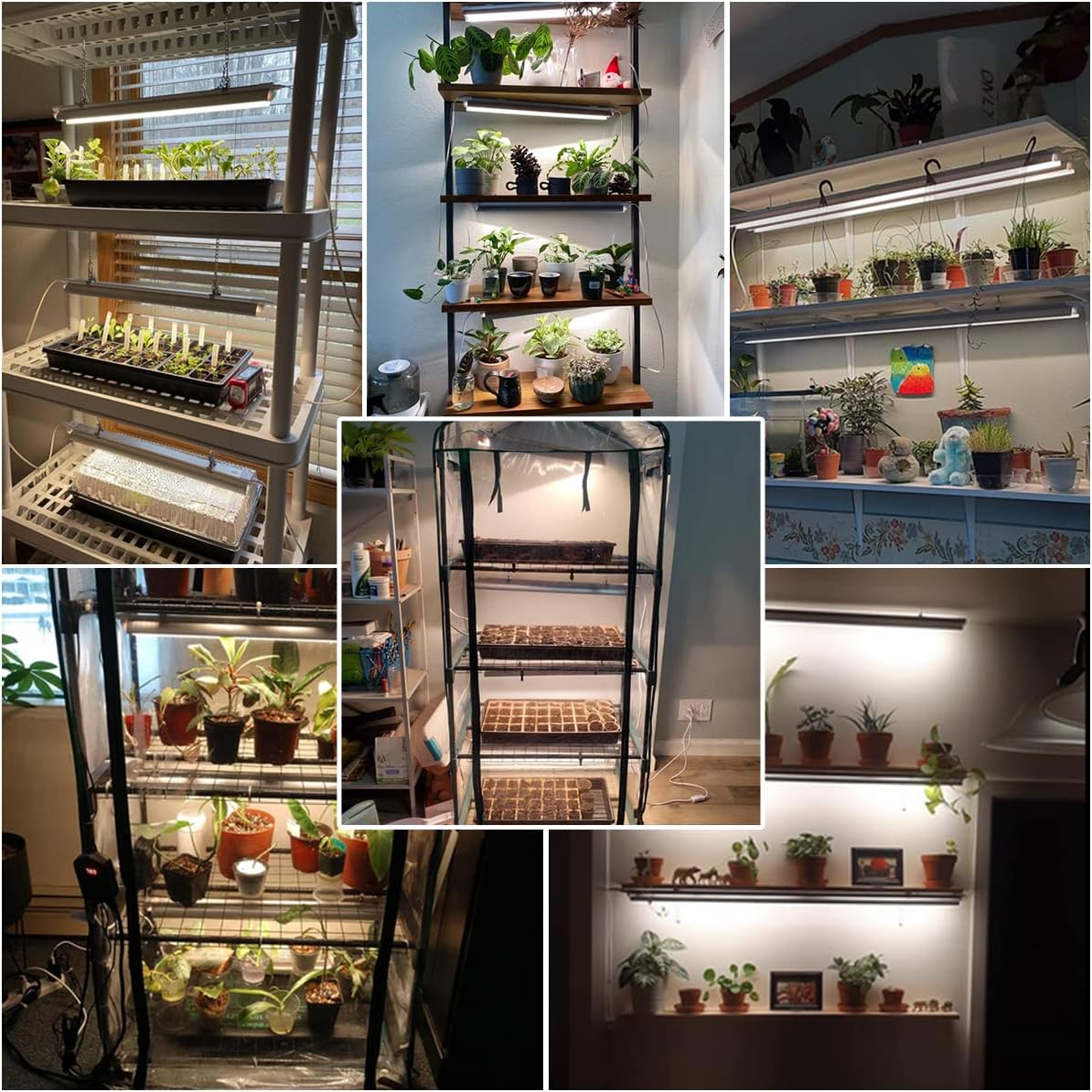 T5 LED Grow Lights, 204pcs Bulb 5000K White Full Spectrum Plant Light Strips for Indoor Plants, Shelves Greenhouse Seedling, End-to-End Connectable with V-Shaped Reflector