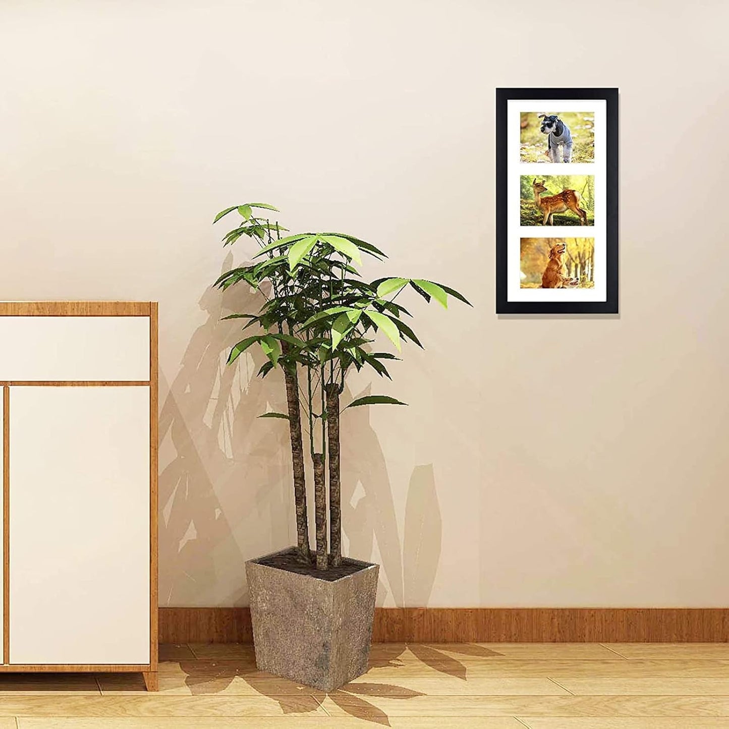 Golden State Art, Set of 3, 9x18 Black Wood Frame - White Mat for Three 5x7 Pictures - Sawtooth Hangers- Swivel Tabs - Wall Mounting - Landscape/Portrait - Real Glass - Collage Frame