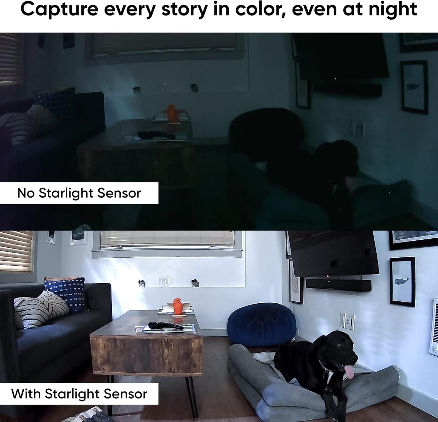Wyze Cam Pan v2 360° Pet Camera with Phone App PTZ Indoor Smart Security Camera for Dog Cat Baby Elderly Monitoring, 2-Pack