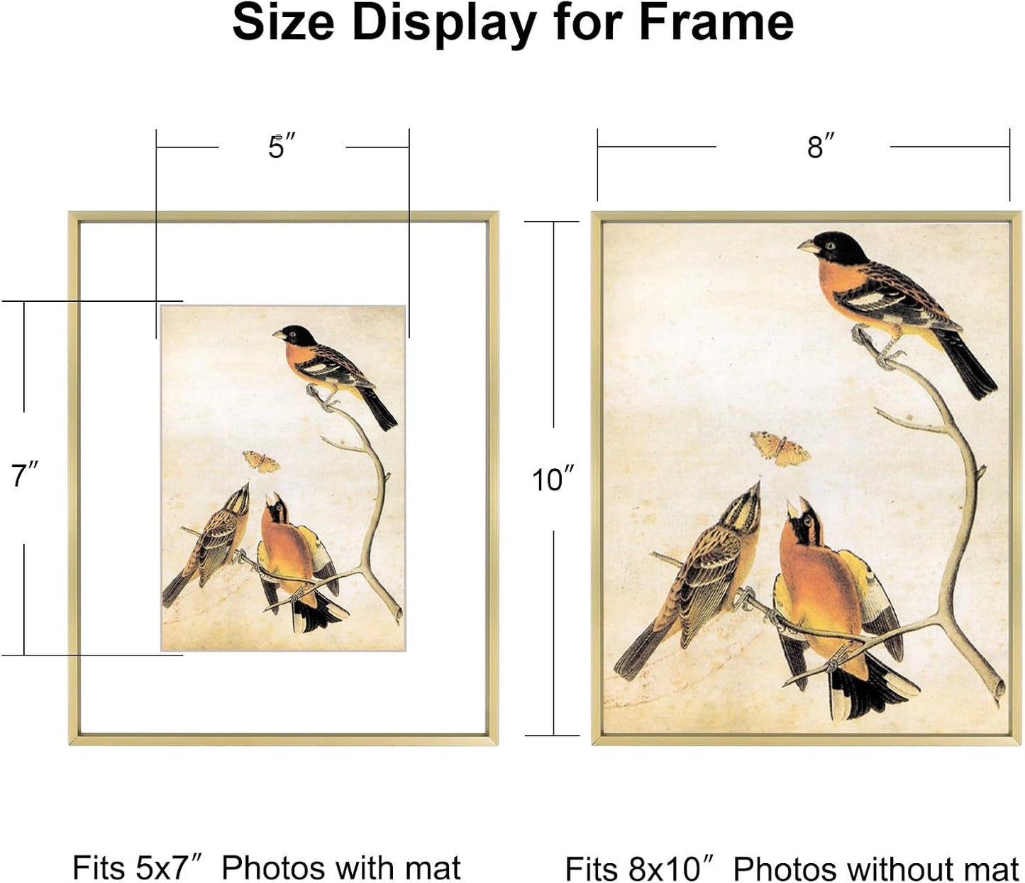 8x10 Picture Frame, Brass Aluminum Metal Photo Frames with HD Glass, Fits 5x7 with Mat or 8 x 10 without Mat, Display for Wall and Table