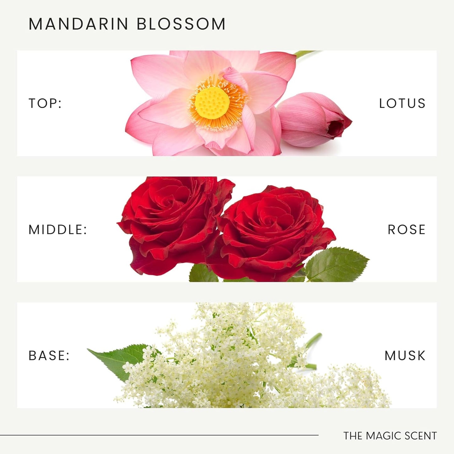 The Magic Scent Mandarin Blossom Diffuser Oil - Hotel & Home Luxury Scents Inspired by Maldives - Diffuser Oil Scents for Home Designed for Use in All Diffusers - 16.9 fl oz, 500 mL