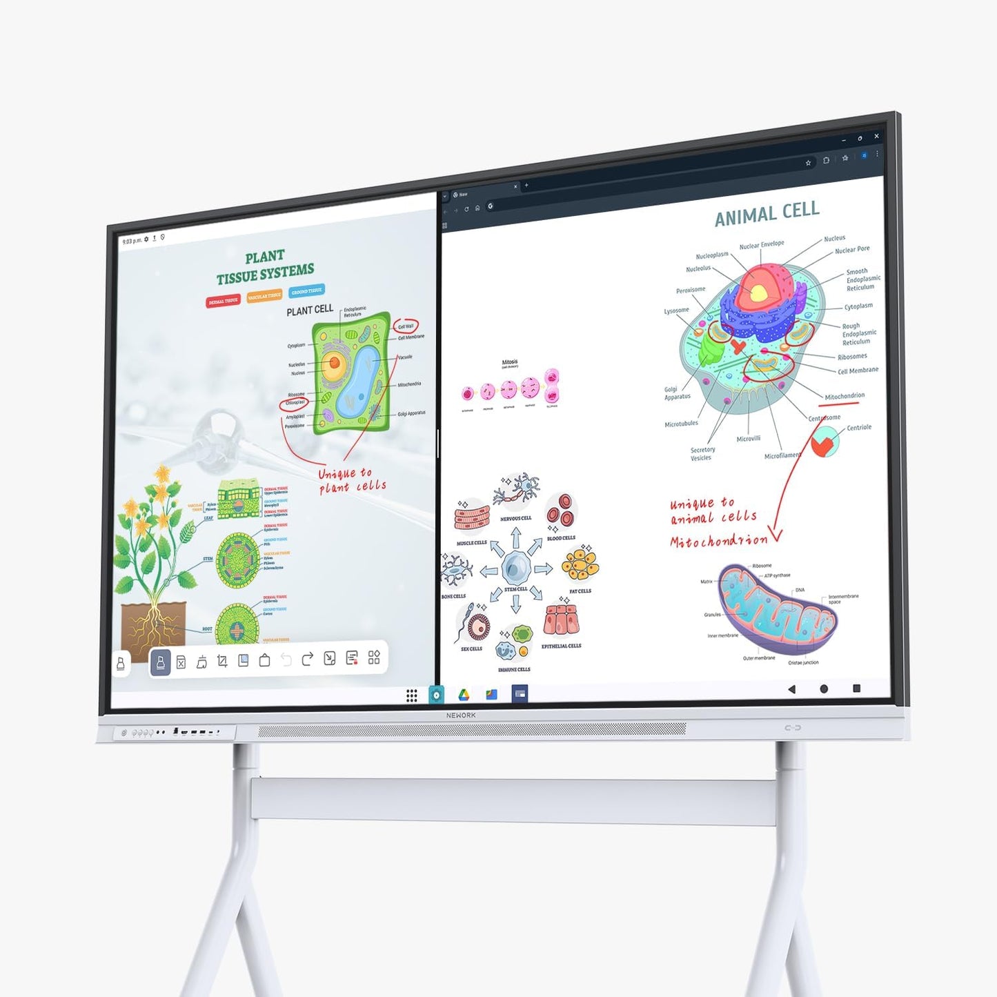 Smart Board, 75" Interactive Whiteboard with Google EDLA, Built-in Digital Whiteboard, Wireless Casting, Split-Screen & Unlimited Canvas for Business and Education (Wall Mount Included)