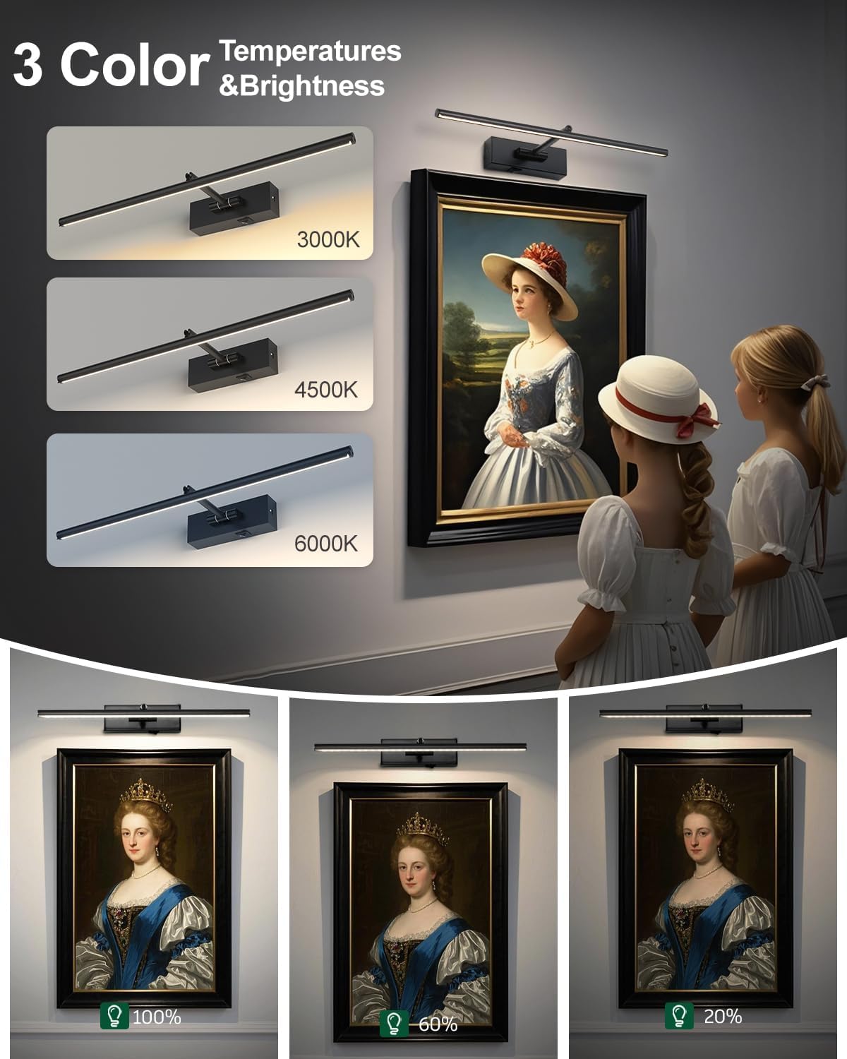Battery Operated Picture Light with Wireless Remote 3CCT Dimmable Black Wall Art Lights for Paintings Rechargeable Home Decor Gallery Light 20'' Artwork Lighting for Canvas Timer Function