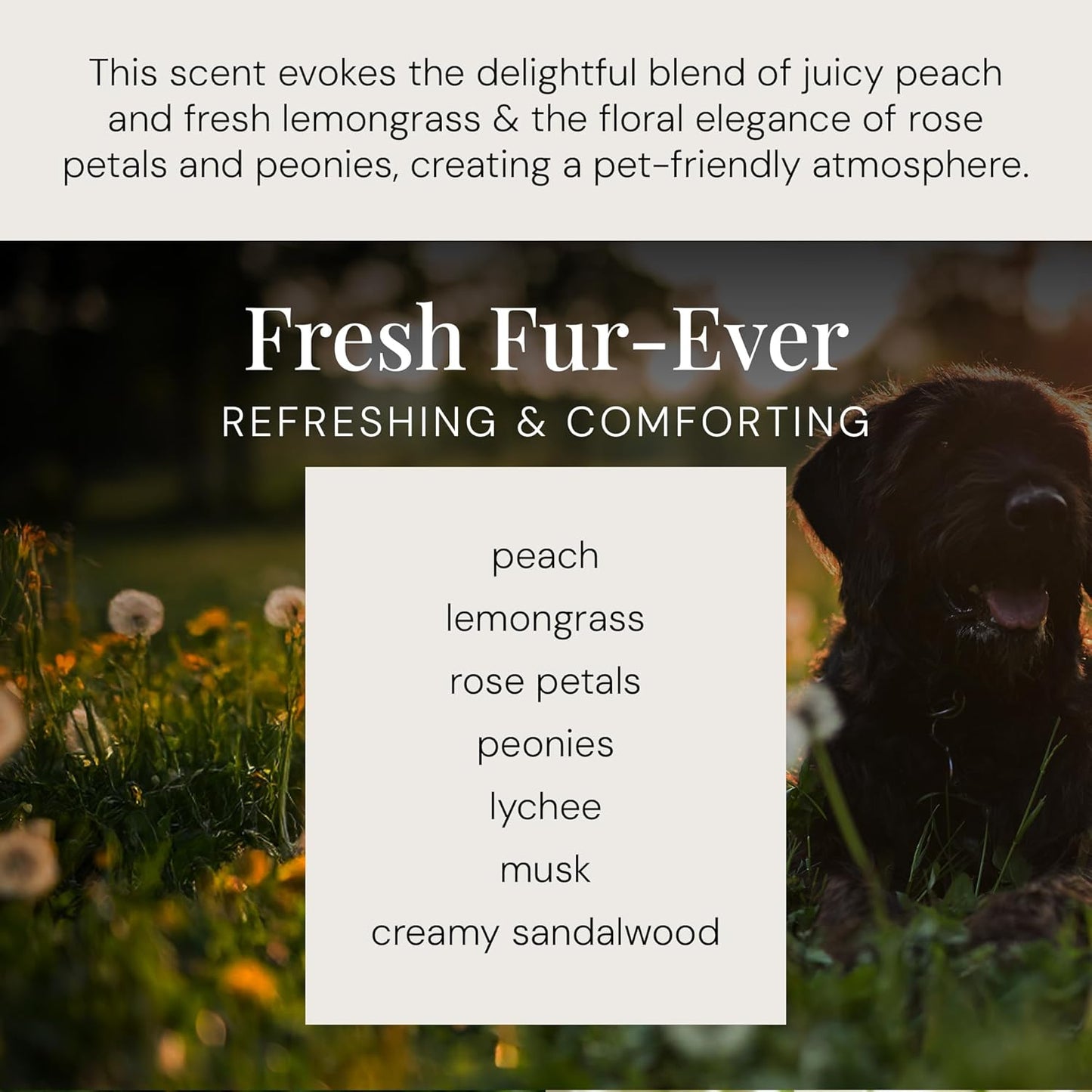 Air Esscentials Diamond Smart Scent Air Machine & Fresh Fur-Ever Aroma Oil, Waterless Fragrance Oil Diffuser with Bluetooth App Control, Fresh Cut Pine & Fir, Refreshing Winter Forest Scent, 100mL