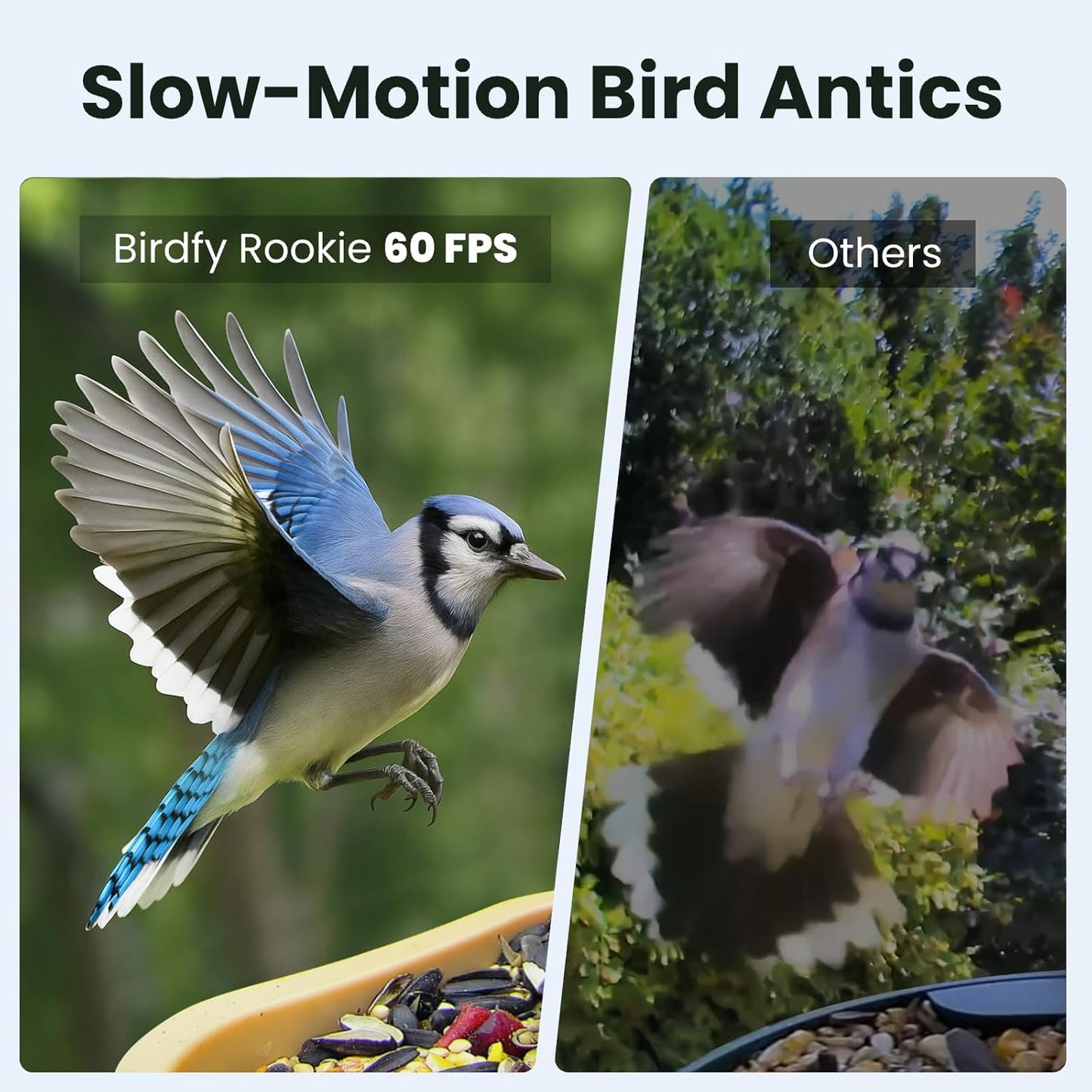 Birdfy Smart Bird Feeder with Camera for Rookie, Camera Bird Feeder Dual Night Vision, AI Recognition IP66 Waterproof for BirdLovers, 1.3L Capacity (AI by Subscription)