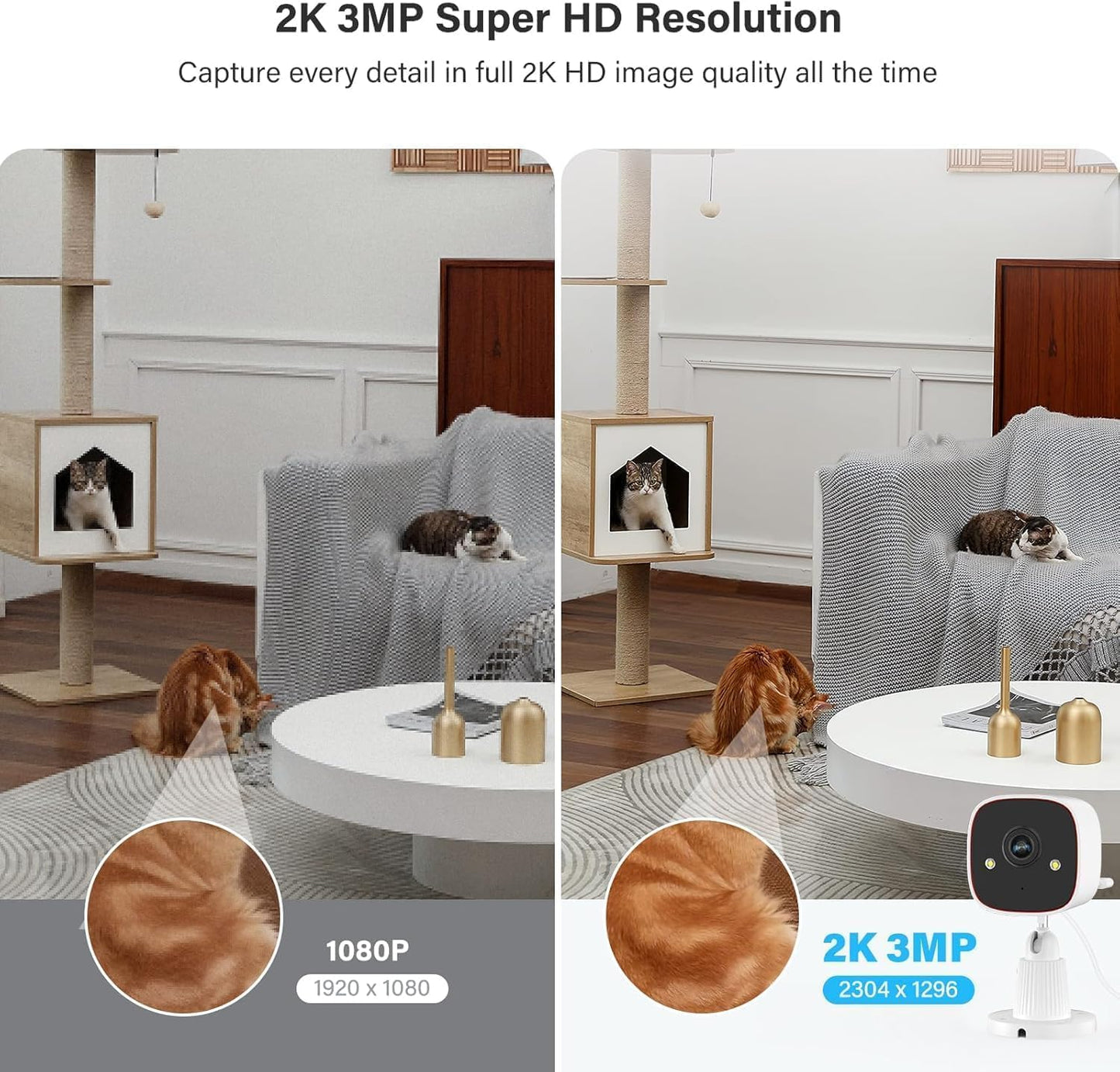 Jennov 2K Security Cameras, WiFi Indoor Cameras for Home Security, Plug in Powered Pet Cams, Dual-Band (5GHz/2.4GHz), Color Night Vision, 2-Way Audio, Human Motion Detection, IP66 Waterproof Outdoor