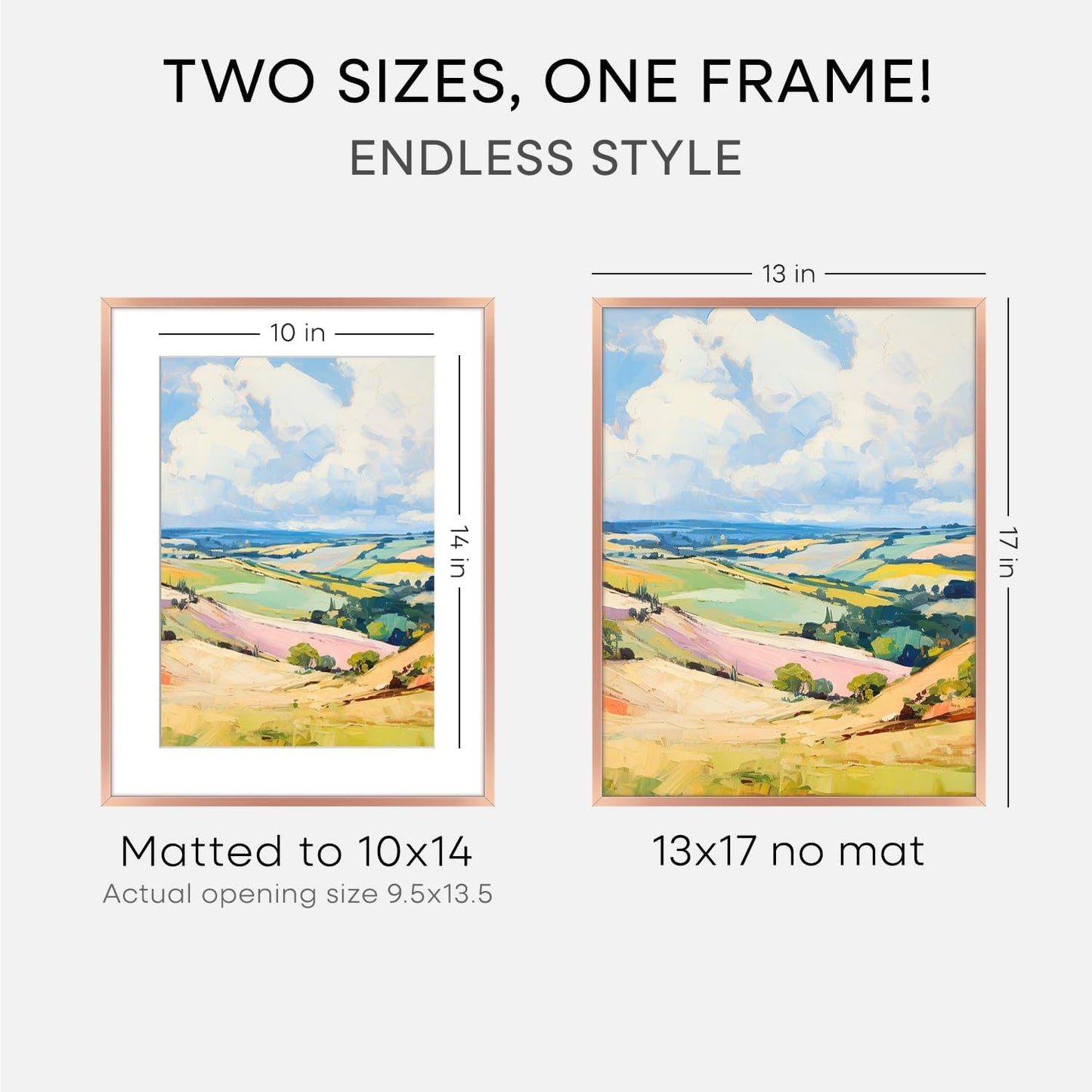 Homeforia 13x17 Picture Frame Rose Gold, High End Metal 13x17 Poster Frames with Mat 10x14 Photo, 13 x 17 Rose Gold Frame Matted to 10 by 14 Print, 17x13 Thin Frame, Tempered Glass, Wall Kit, Set of 1