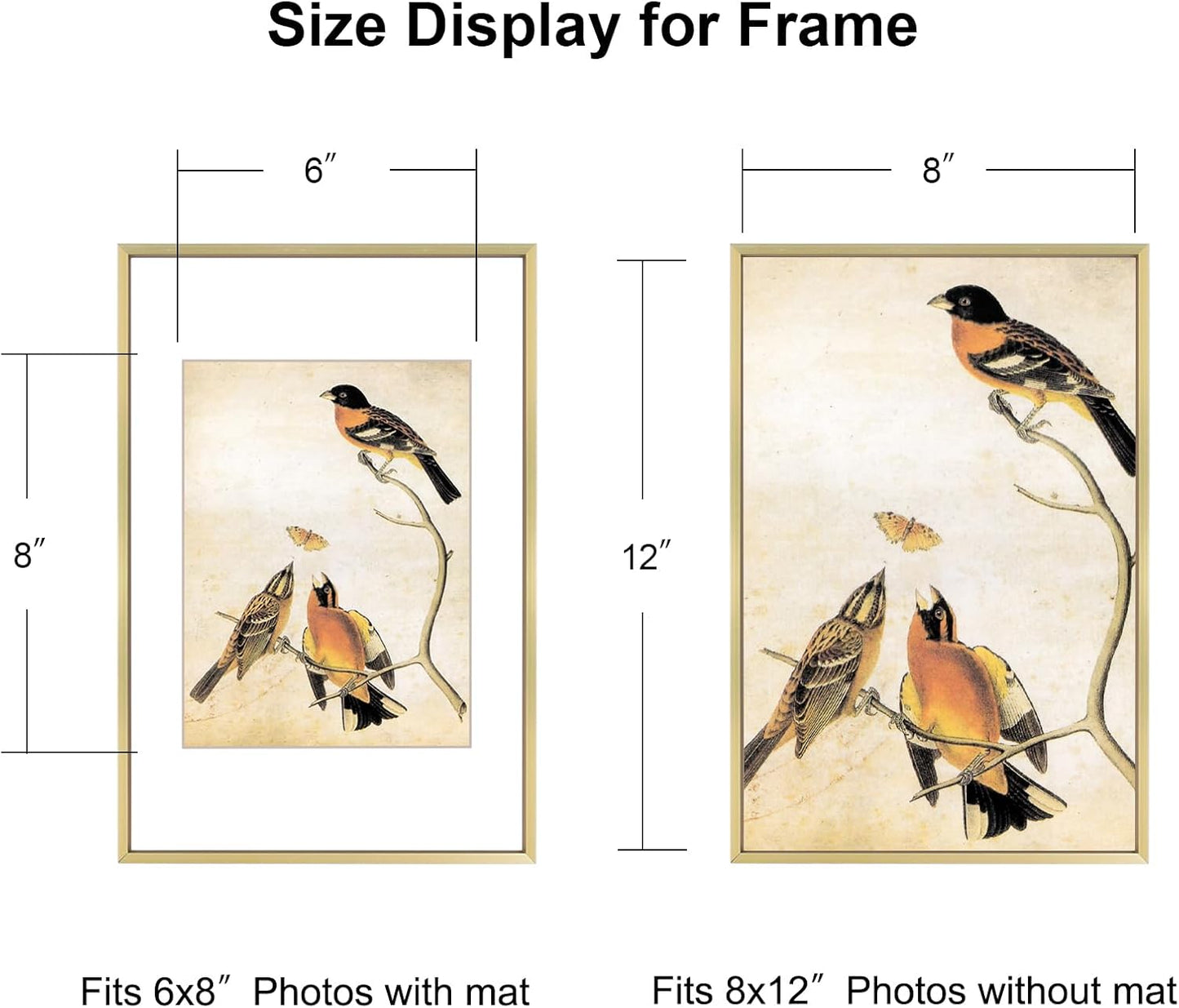 8x12 Picture Frame, Brass Metal Photo Frames with HD Glass, Fits 6x8 with Mat or 8 x 12 without Mat, Display for Wall and Table, 1 Pack