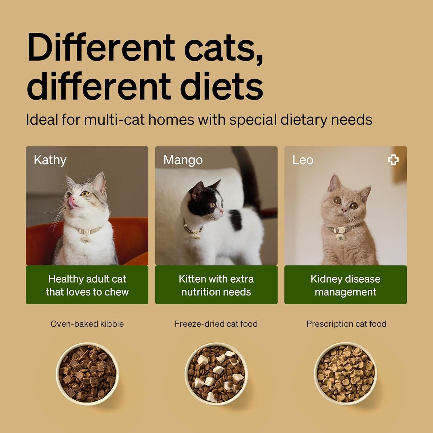 PETLIBRO RFID Automatic Cat Feeders for 3 Cats, Collar Sensor for Personalized Meals, Cats Recognition, Diet Tracking and Anti-Stealing for Multi-Pets Homes and Different Diets, WiFi Food Dispensers